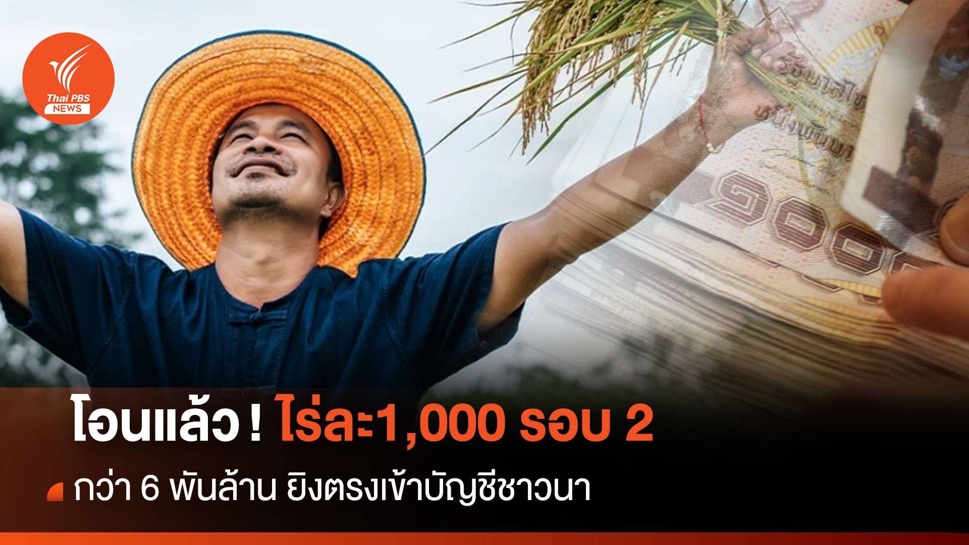 โอนแล้ว! ไร่ละ1,000 รอบ 2 กว่า 6 พันล้าน ยิงตรงเข้าบัญชีชาวนา