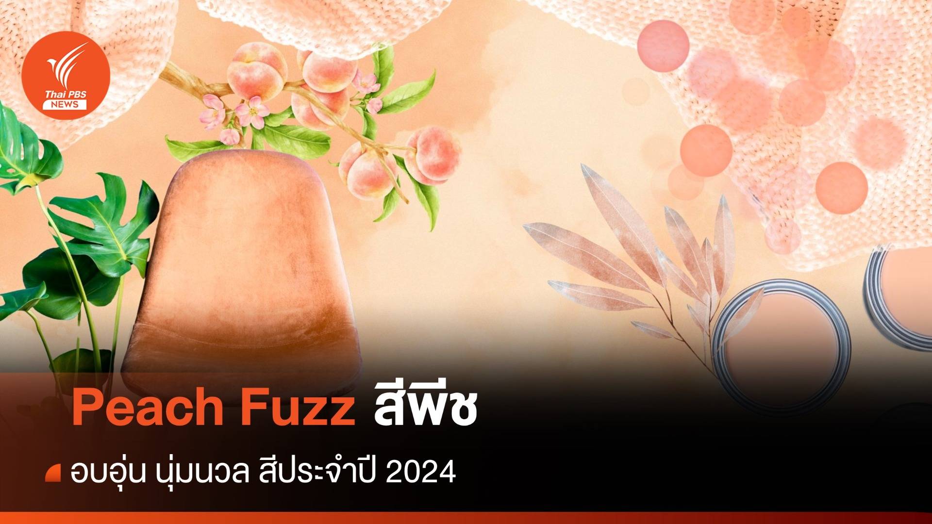 อบอุ่นนุ่มนวล "สีพีช Peach Fuzz" สีประจำปี 2024
