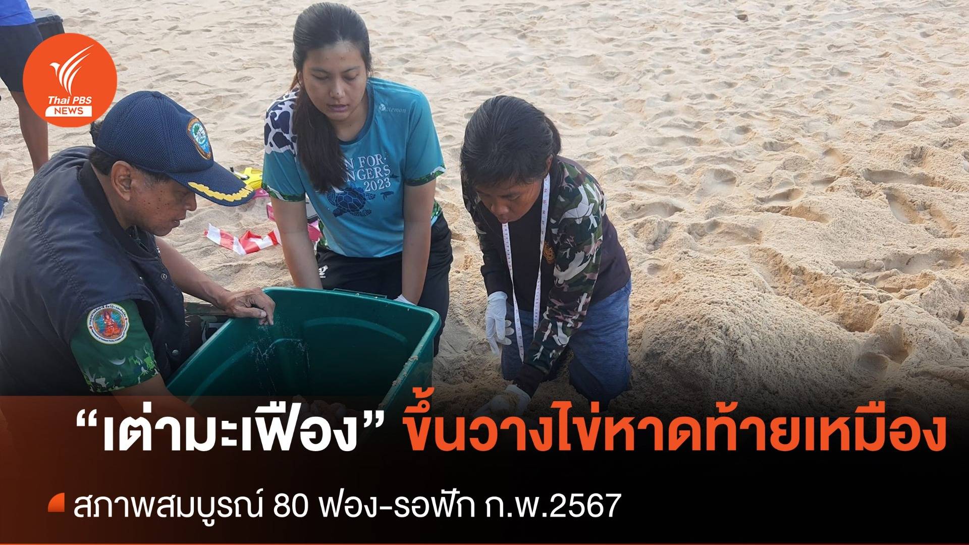 “แม่เต่ามะเฟือง” ขึ้นมาไข่อีกแล้ว รังที่ 4 ของปีนี้ ที่อุทยานฯ เขาลำปี-หาดท้ายเหมือง
