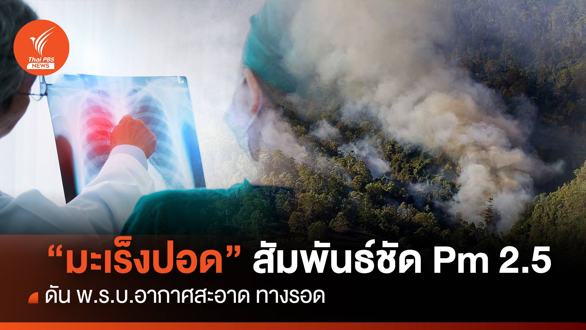 "มะเร็งปอด" สัมพันธ์ชัด Pm 2.5 ดันพ.ร.บ.อากาศสะอาด ทางรอด