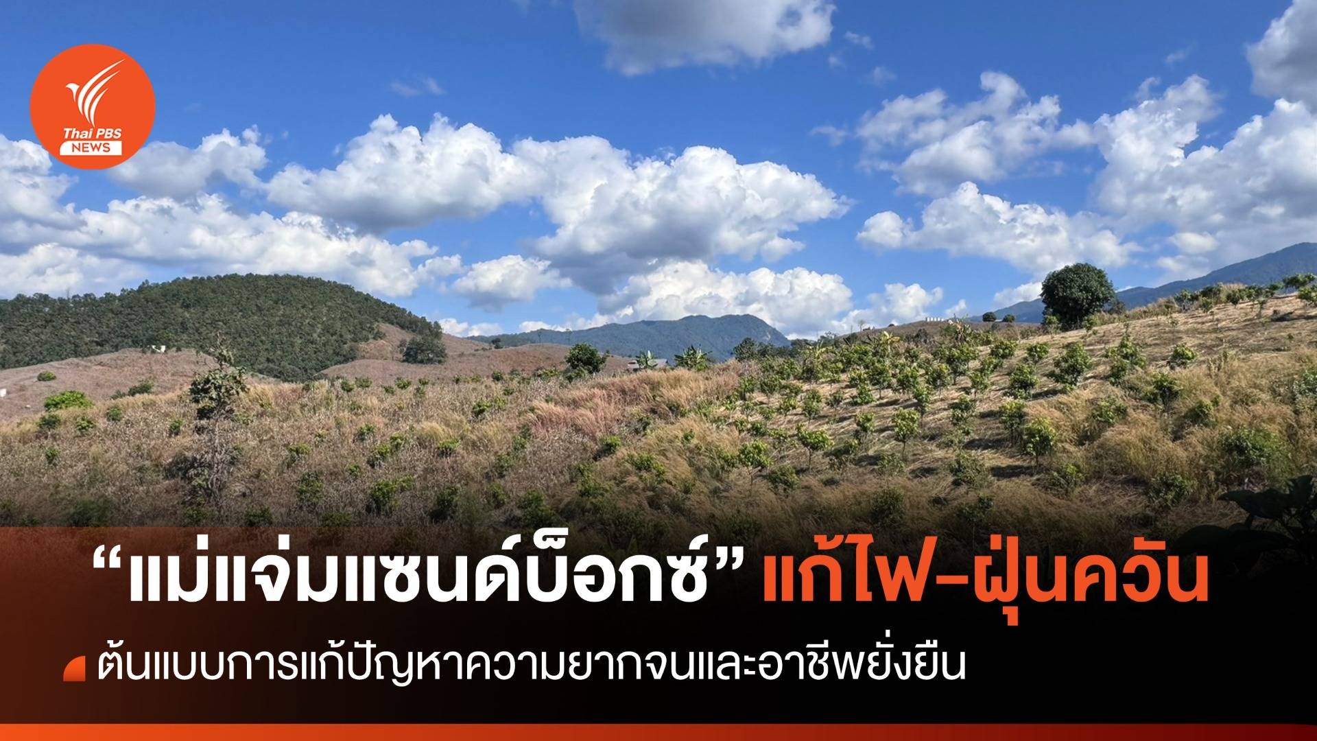 “แม่แจ่ม” กับแนวทางแก้ปัญหาไฟ-ฝุ่น ยั่งยืน ?