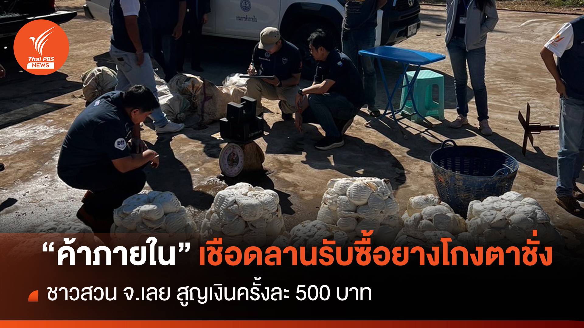 “กรมการค้าภายใน” เชือดลานรับซื้อยาง จ.เลย ดัดแปลงตาชั่ง