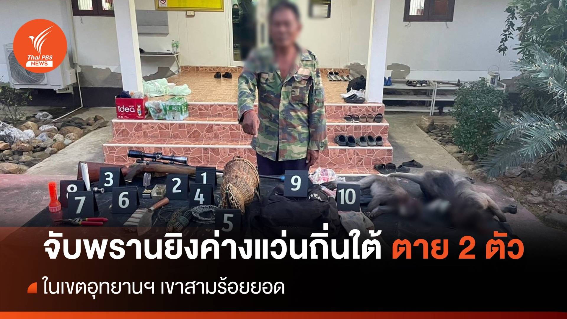 จับพรานยิงหัวค่างแว่นถิ่นใต้ ตาย 2 ตัว เขาสามร้อยยอด