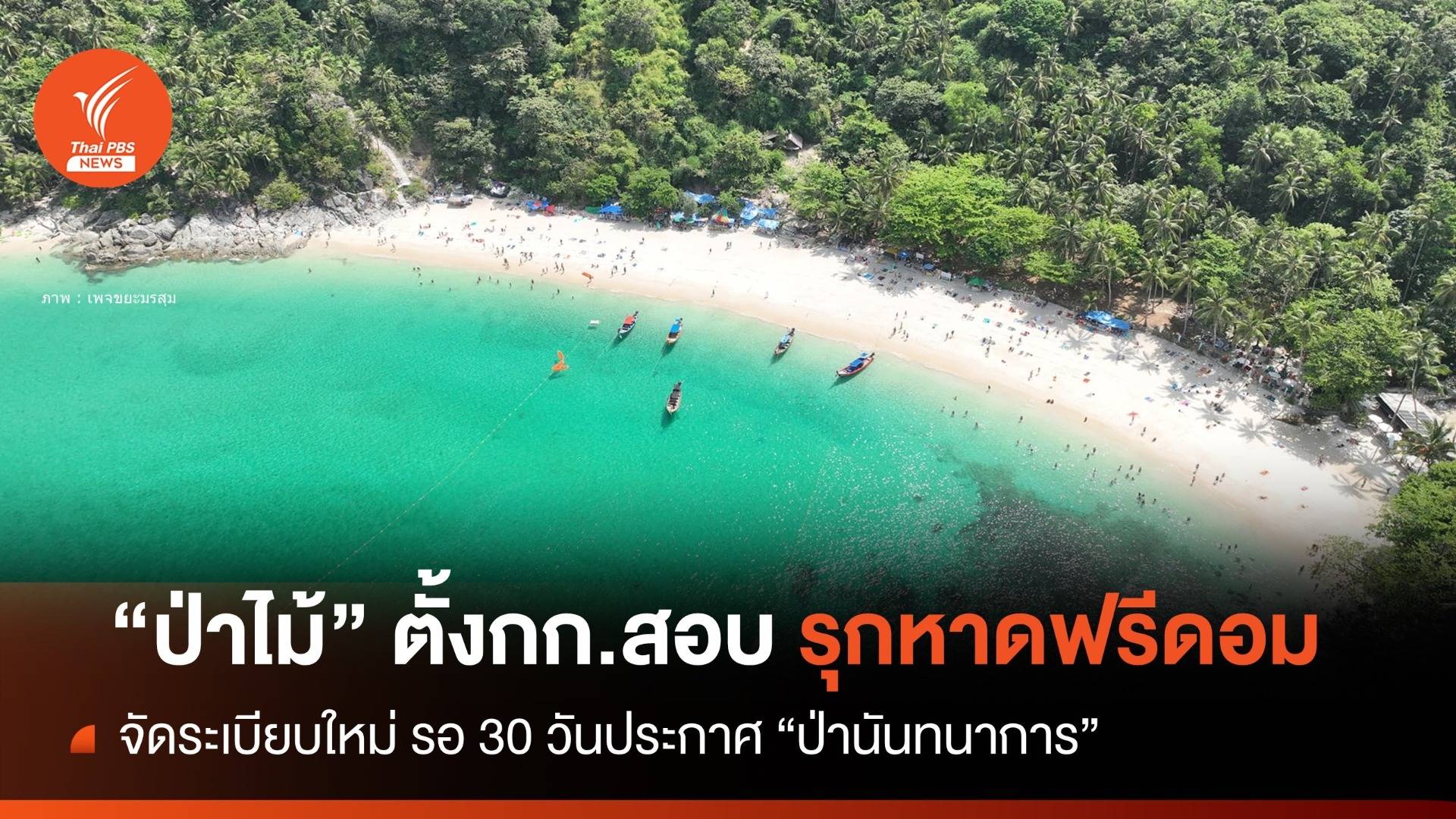 "ป่าไม้" สอบรุก "หาดฟรีดอม" จัดระเบียบใหม่ห้ามเตียงร่มผ้าใบกาง