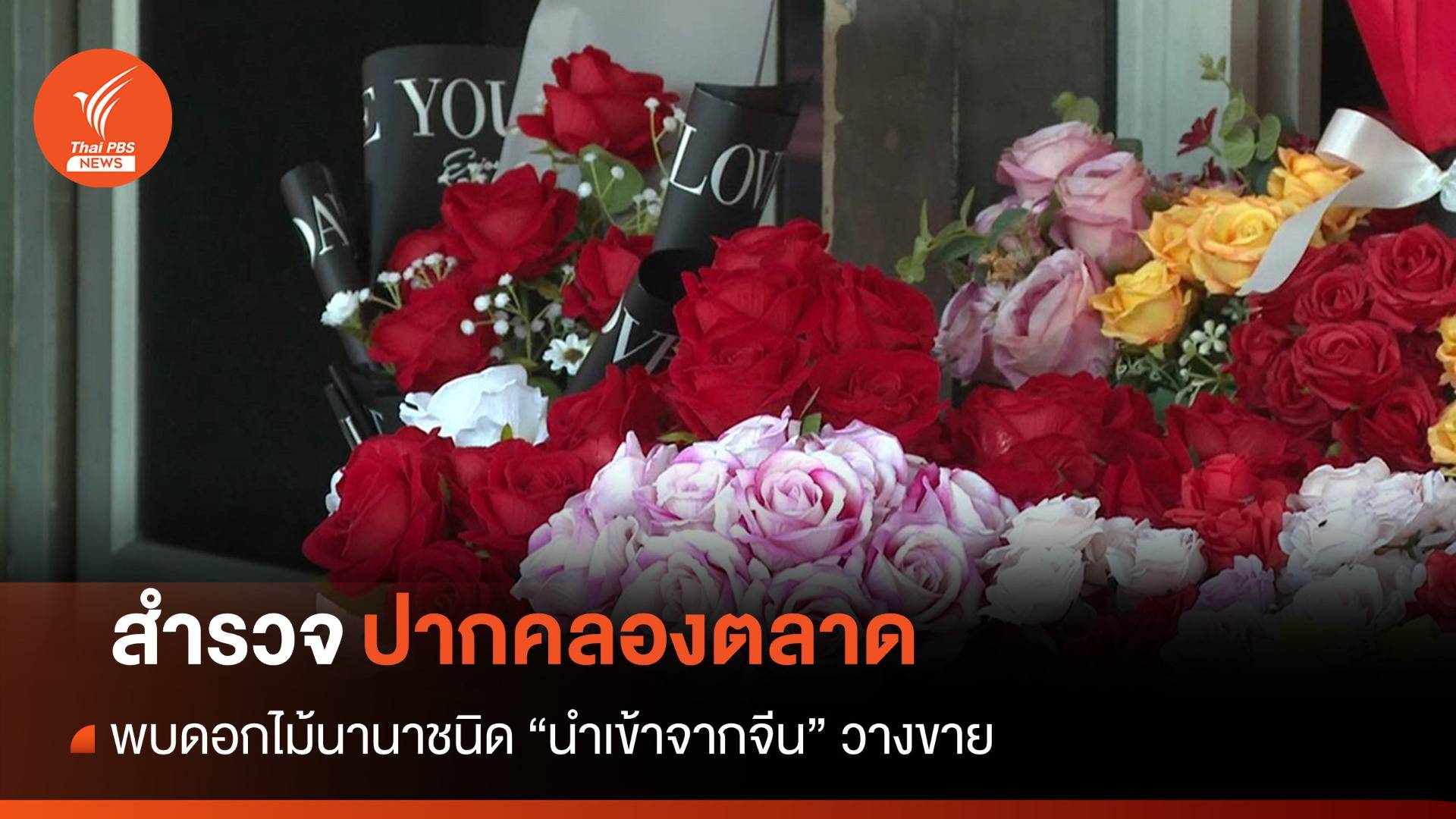 ดอกไม้จากจีนตีตลาดกระทบผู้ปลูกดอกไม้ไทย "ออเดอร์หาย-ราคาตก"