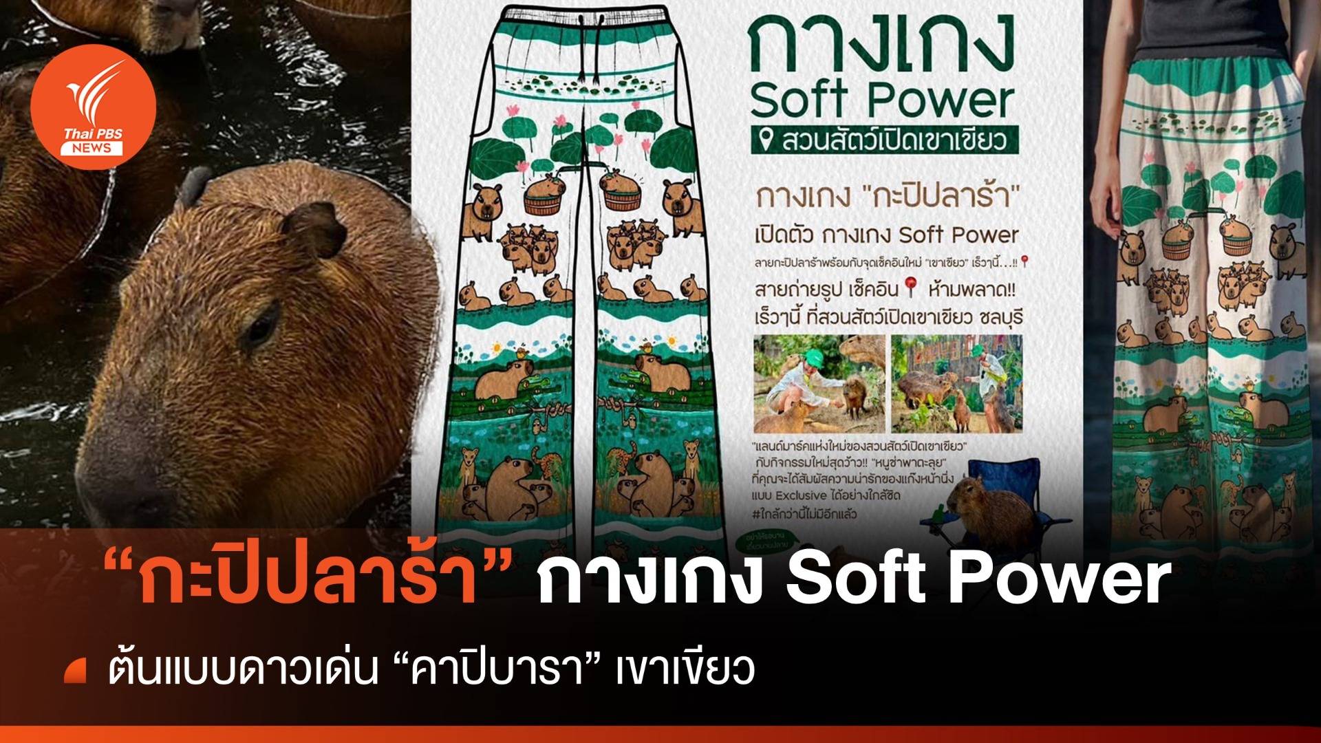 เขาเขียว ผุด "กางเกงกะปิปลาร้า" ต้นแบบแก๊งหน้านิ่ง "คาปิบารา"