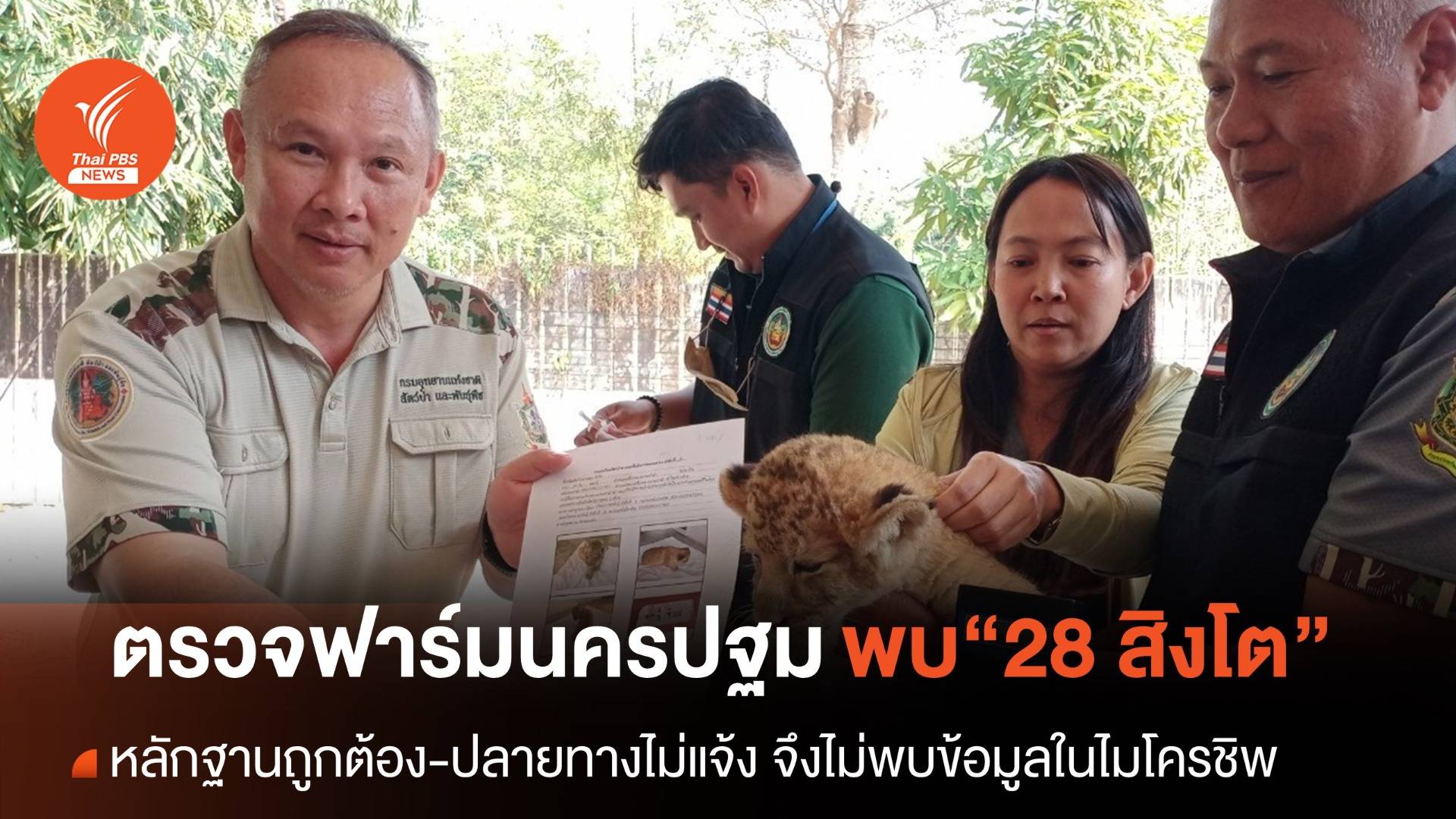จนท.อุทยานฯ ตรวจ "ฟาร์มสิงโตนครปฐม" พบ 28 ตัว มีหลักฐานครบ