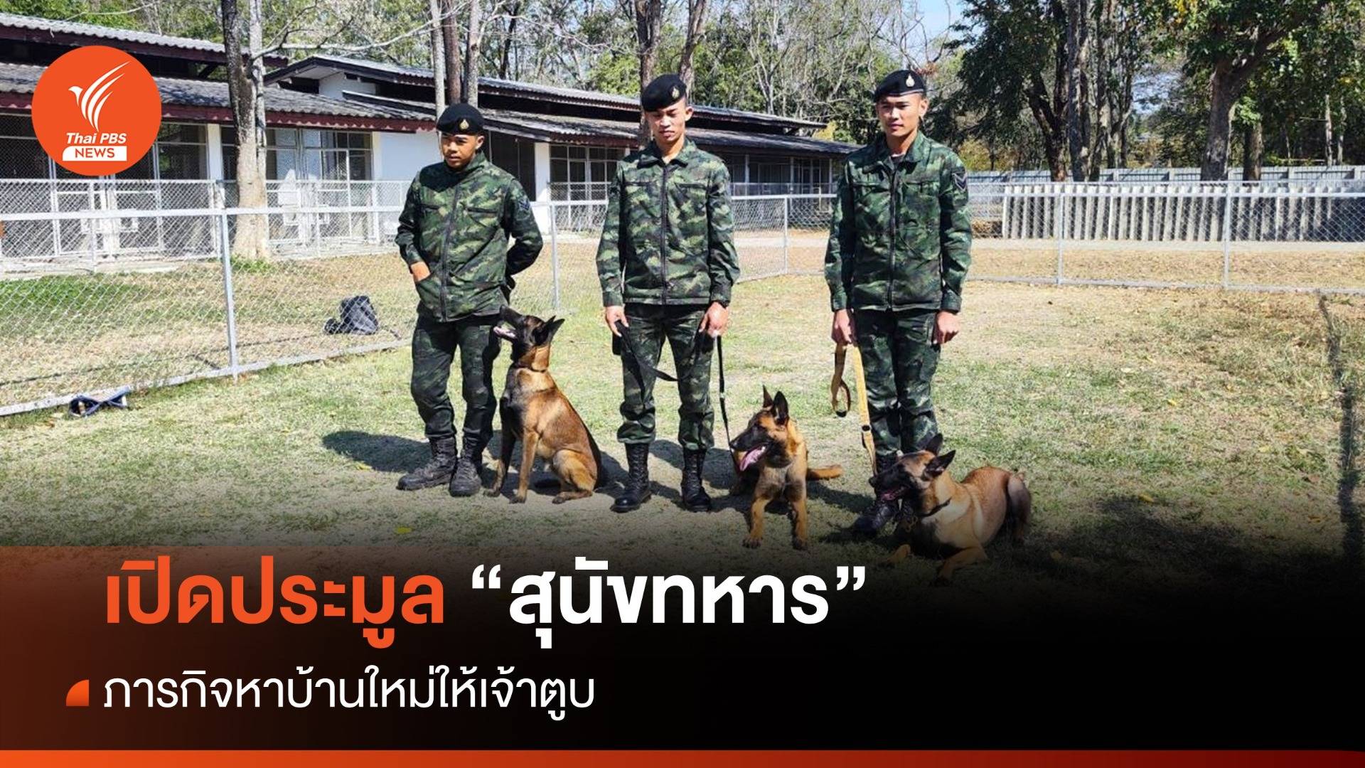 ประมูลสุนัขทหาร ภารกิจหาบ้านใหม่ให้เจ้าตูบ