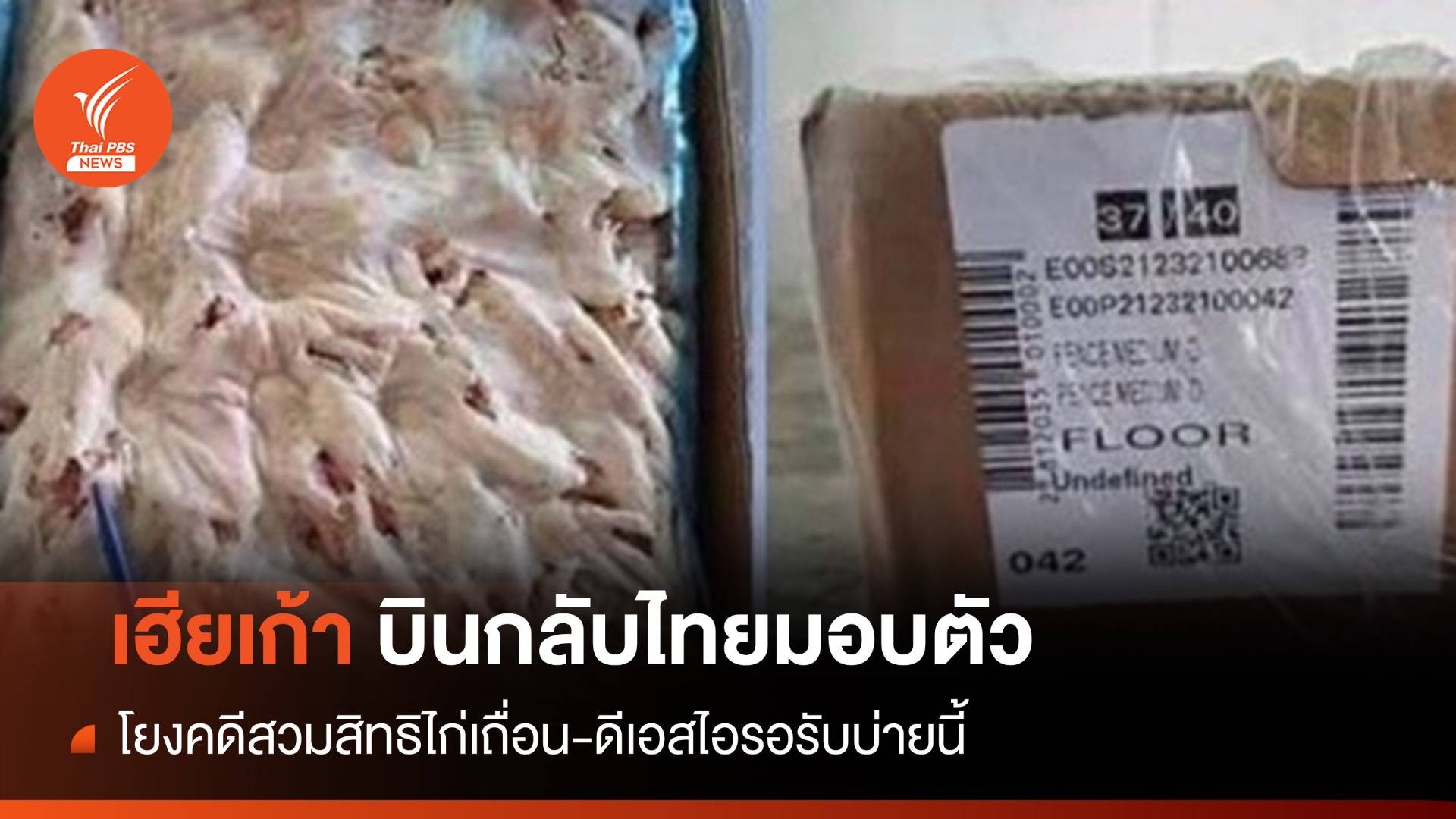 ดีเอสไอ รอรับ "เฮียเก้า" บินกลับไทยมอบตัวสู้คดีไก่เถื่อน