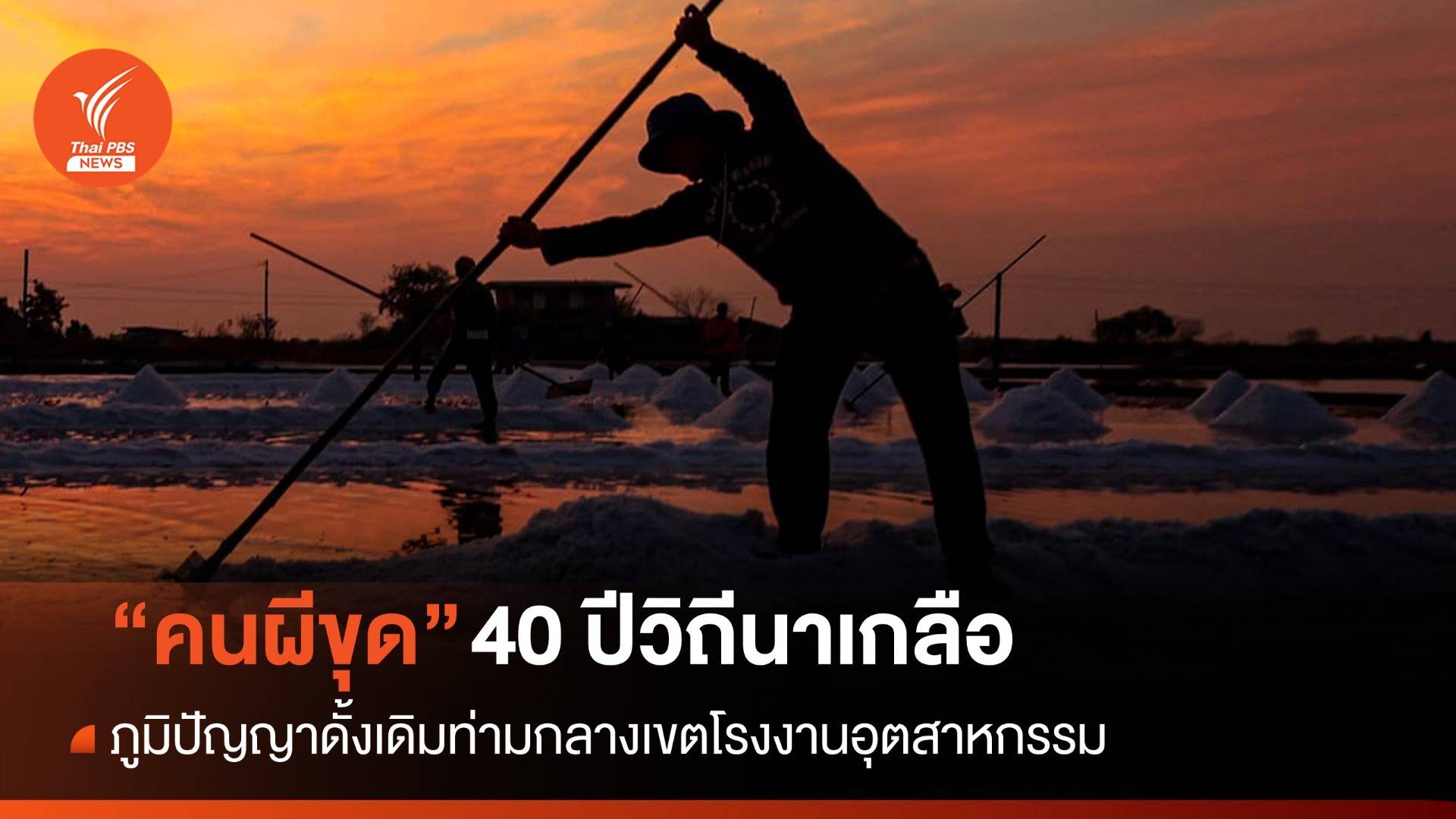 "คนผีขุด" 40 ปี วิถีนาเกลือฉะเชิงเทรา