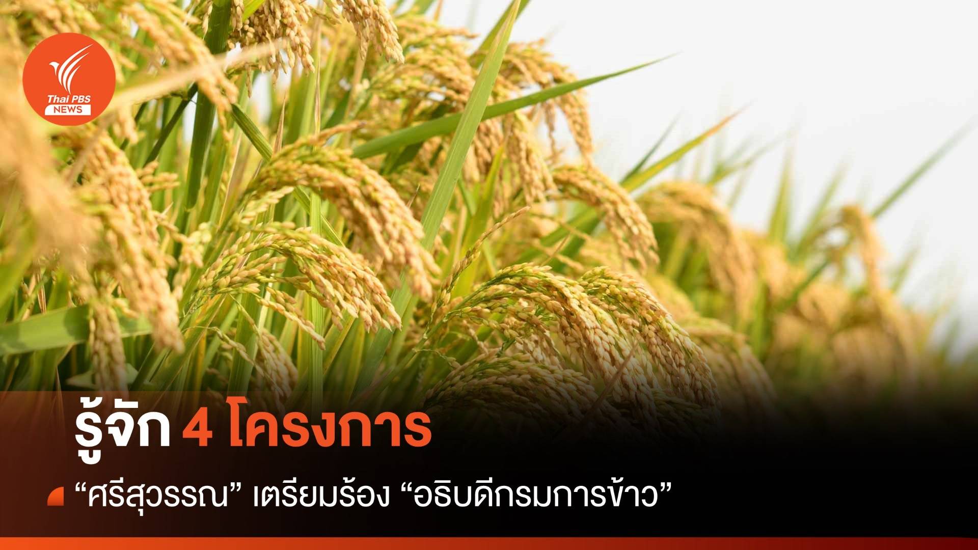 เปิด 4 โครงการ "ศรีสุวรรณ" เตรียมร้อง "บิ๊กกรมข้าว"