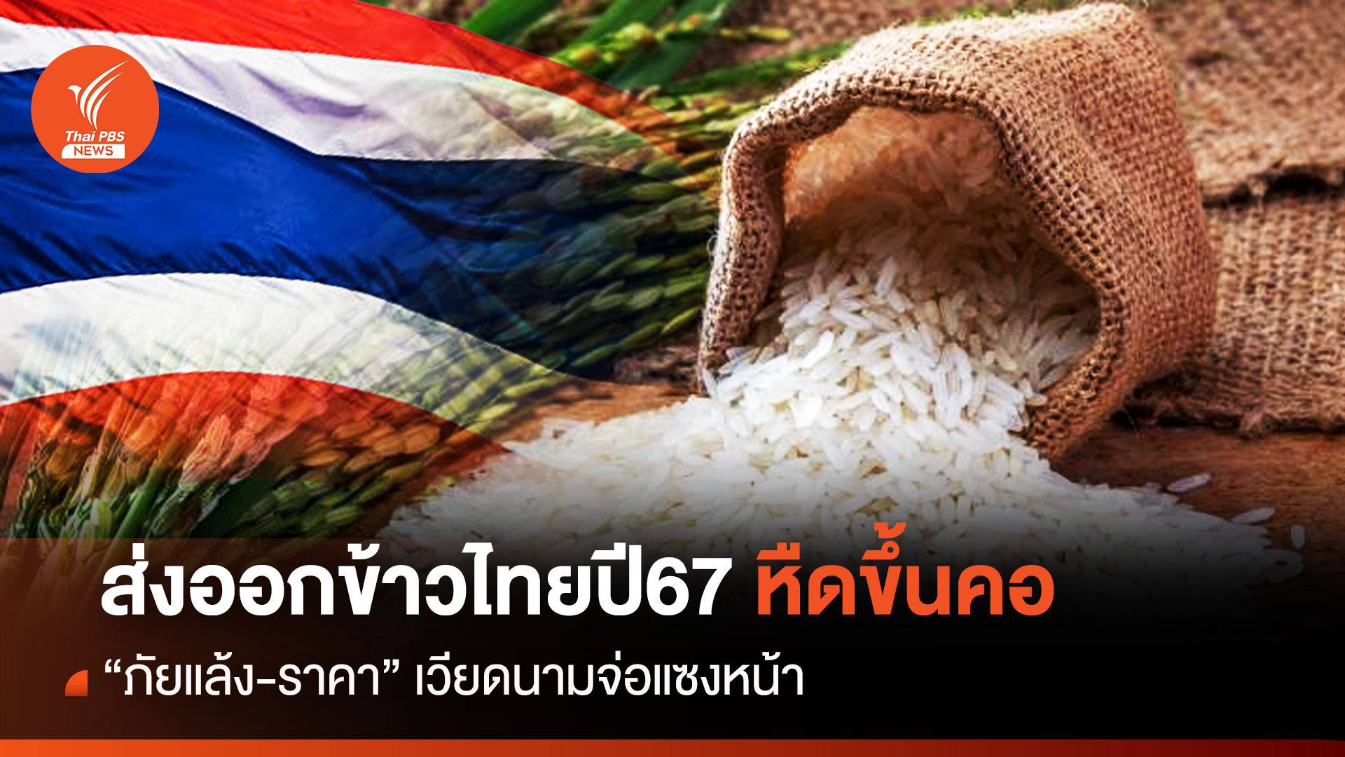 ส่งออกข้าวไทยปี 2567 หืดขึ้นคอ “ภัยแล้ง-ราคา” เวียดนามจ่อแซงหน้า