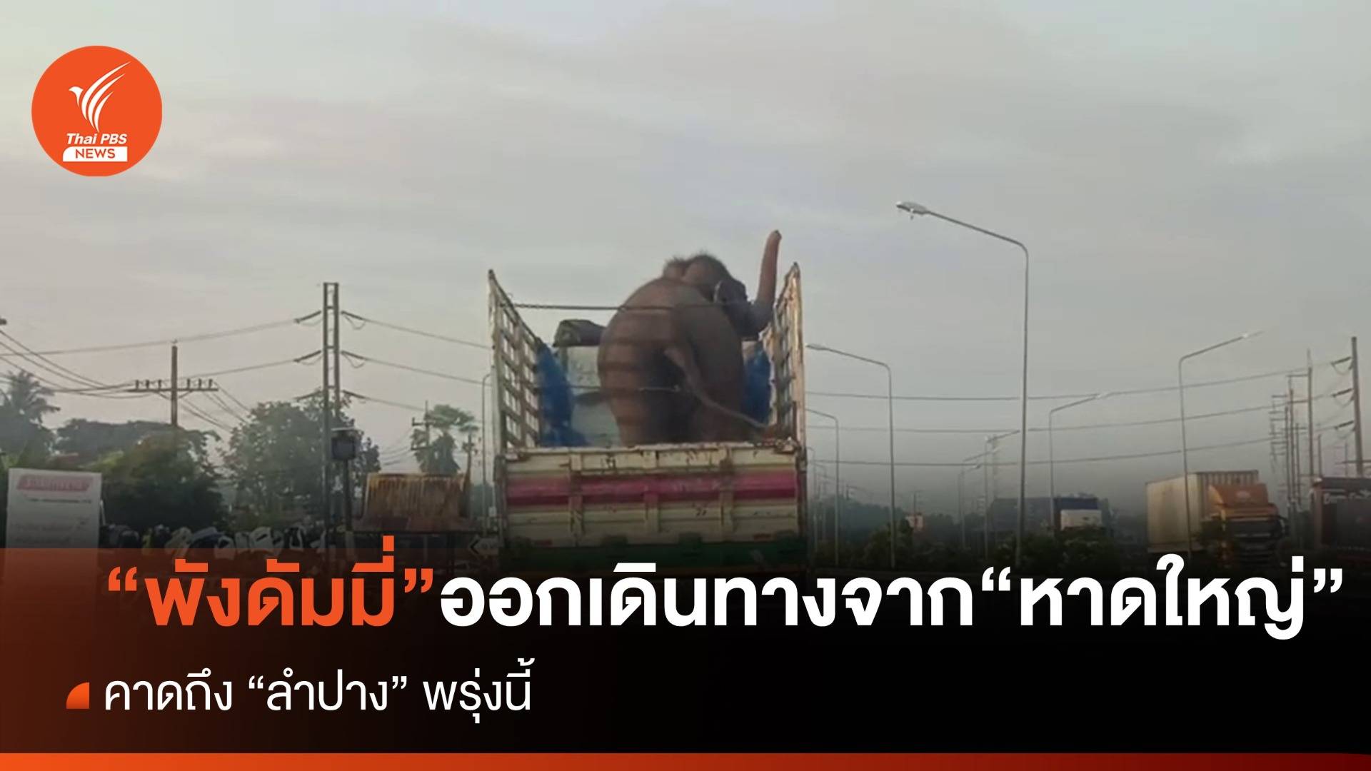 "พังดัมมี่" ออกเดินทางจาก "หาดใหญ่" คาดถึง "ลำปาง" พรุ่งนี้