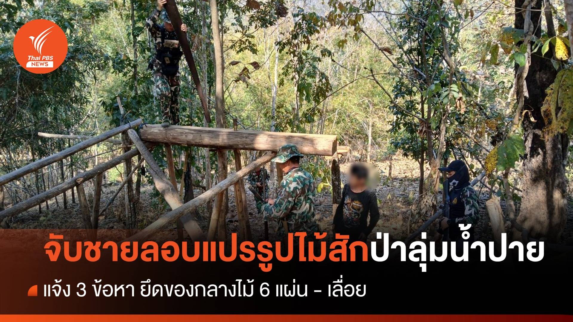 จับชายลอบแปรรูปไม้สัก ป่าลุ่มน้ำปาย