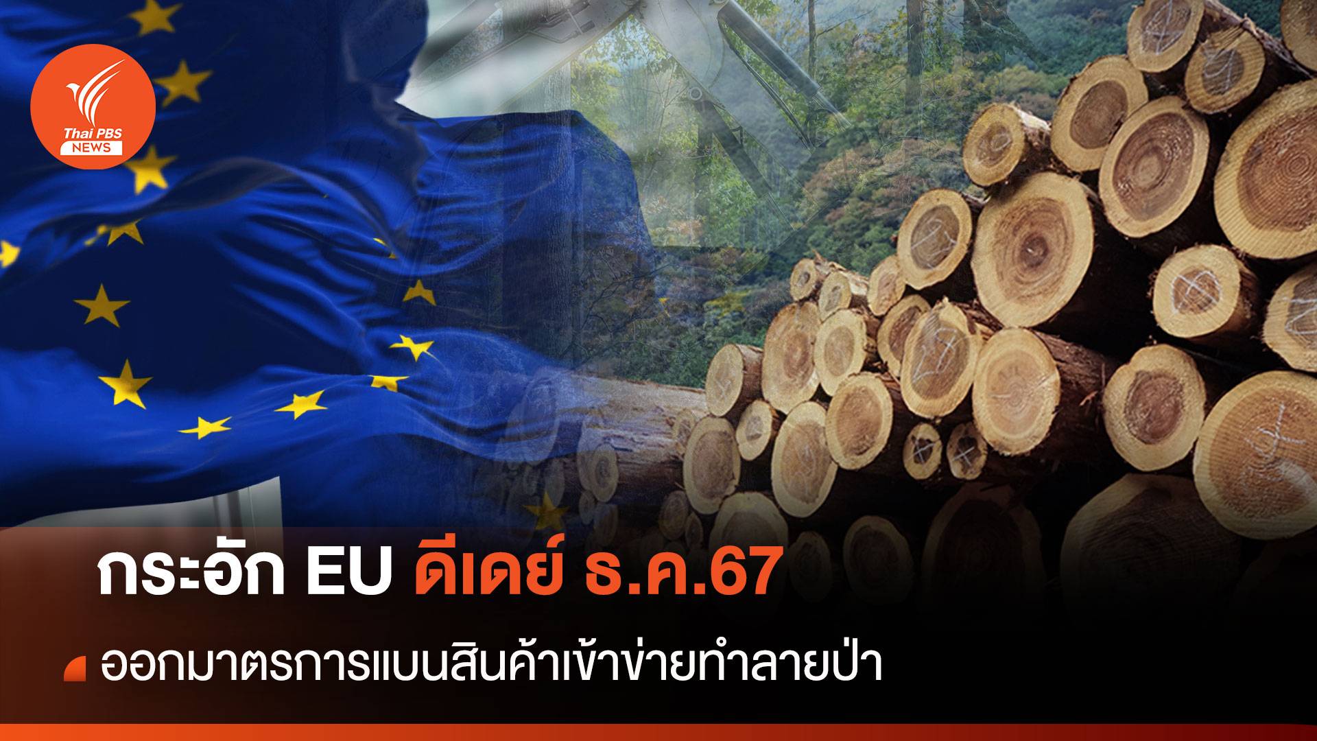 กระอัก EU ดีเดย์ ธ.ค.67 ออกมาตรการแบนสินค้าเข้าข่ายทำลายป่า