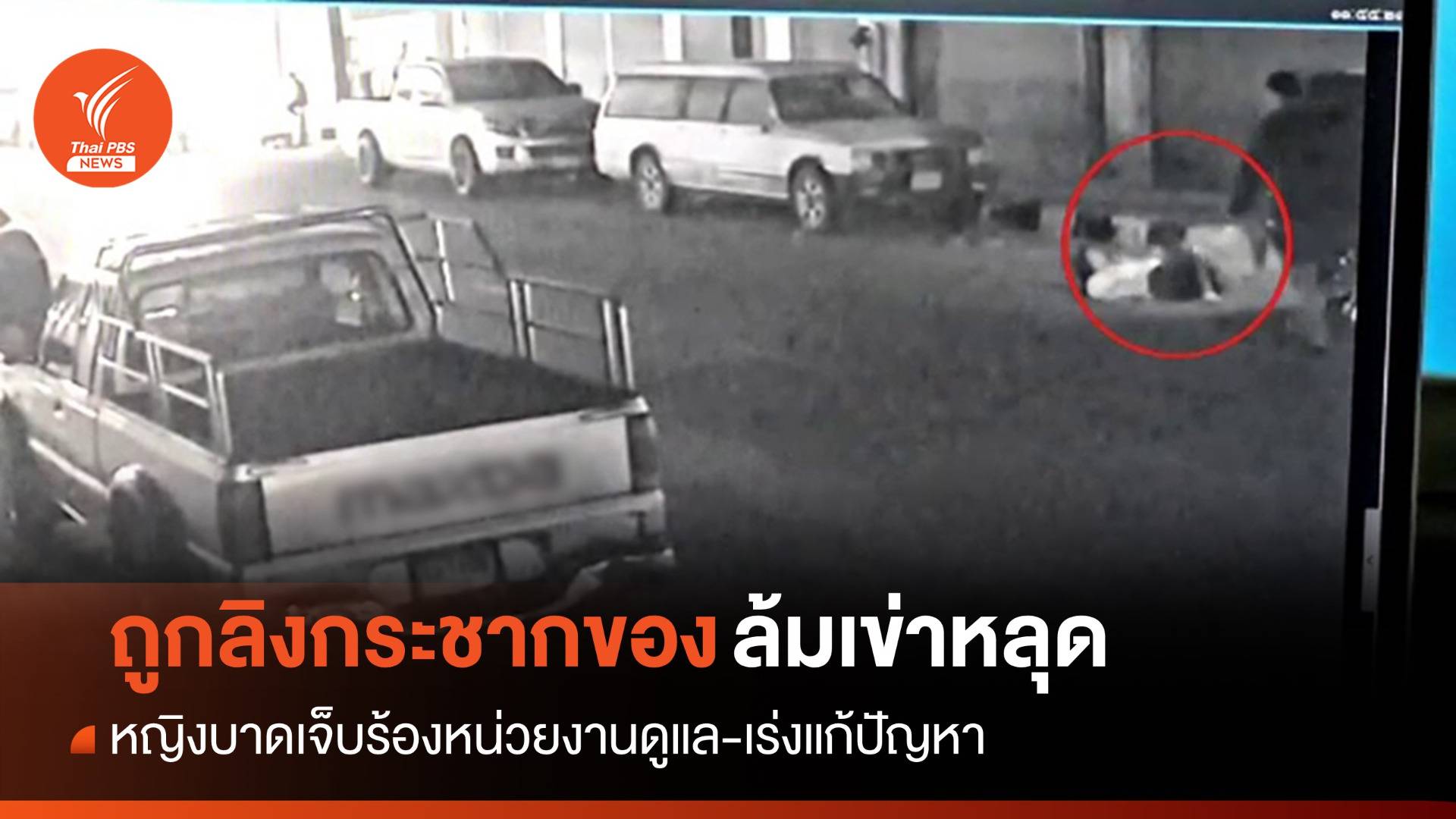 หญิงถูกลิงกระชากของล้มเข่าหลุด ร้องหน่วยงานเร่งแก้ปัญหา