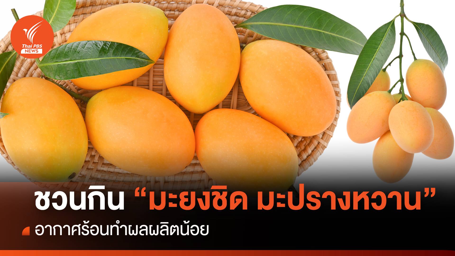  ชวนคนไทยกิน “มะยงชิด มะปรางหวาน” อากาศร้อนทำผลผลิตน้อย