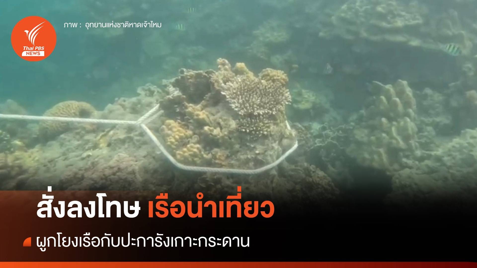 อธิบดีกรมอุทยานฯ สั่งลงโทษเรือนำเที่ยวผูกโยงเรือกับปะการัง