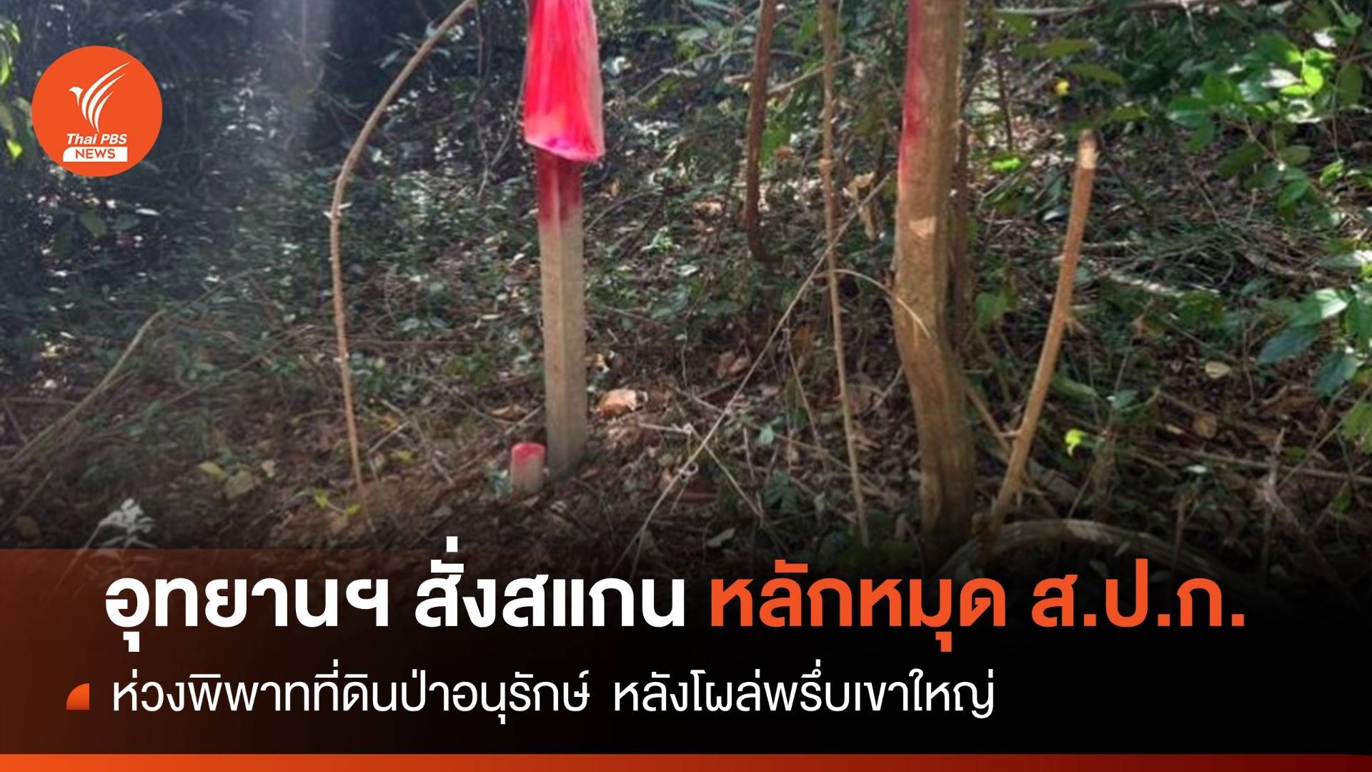 "อุทยาน" สั่งสแกนหลักหมุดนิรนาม ส.ป.ก.โผล่ป่าอนุรักษ์