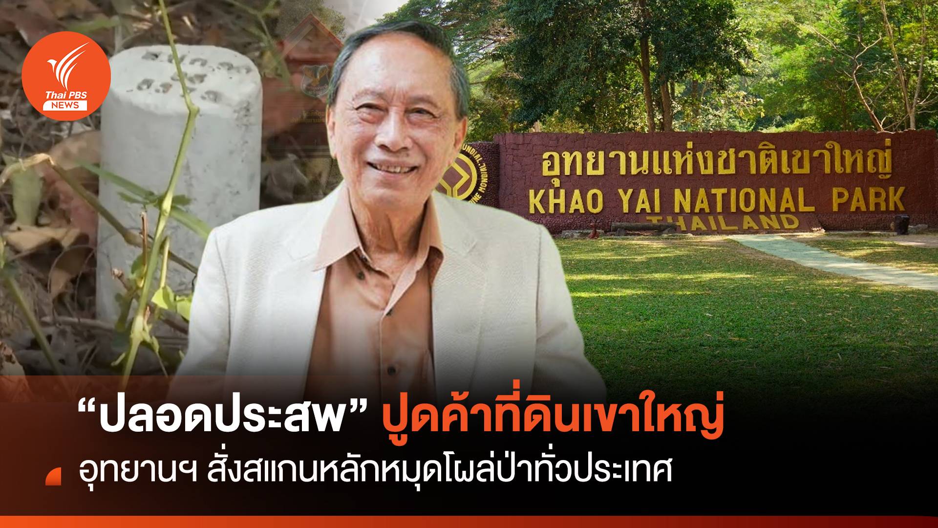 "ปลอดประสพ" ปูดขบวนการค้าที่ดินเขาใหญ่