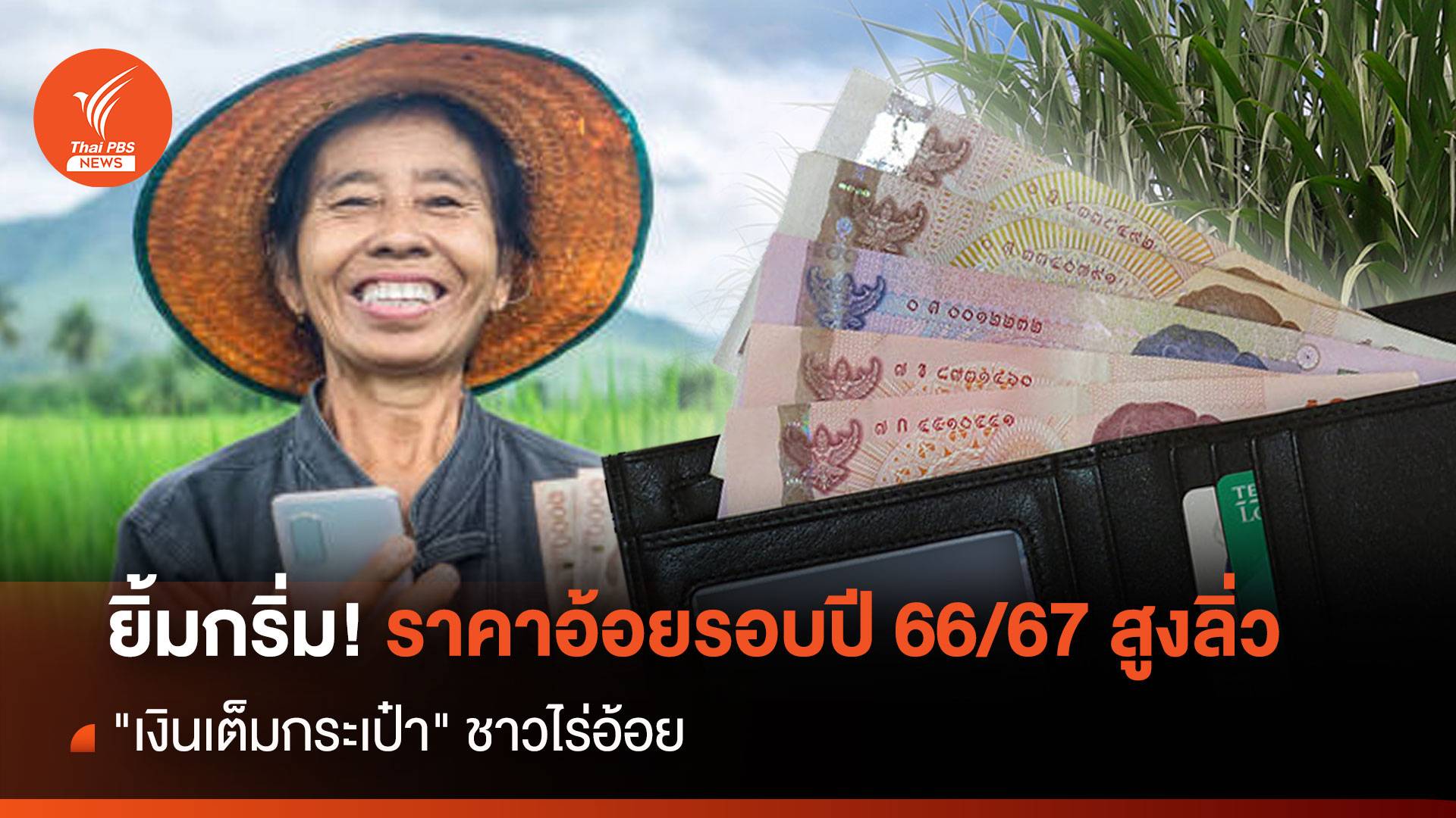 ยิ้มกริ่ม ! ราคาอ้อยรอบปี 66/67 สูงลิ่ว"เงินเต็มกระเป๋า"ชาวไร่อ้อย