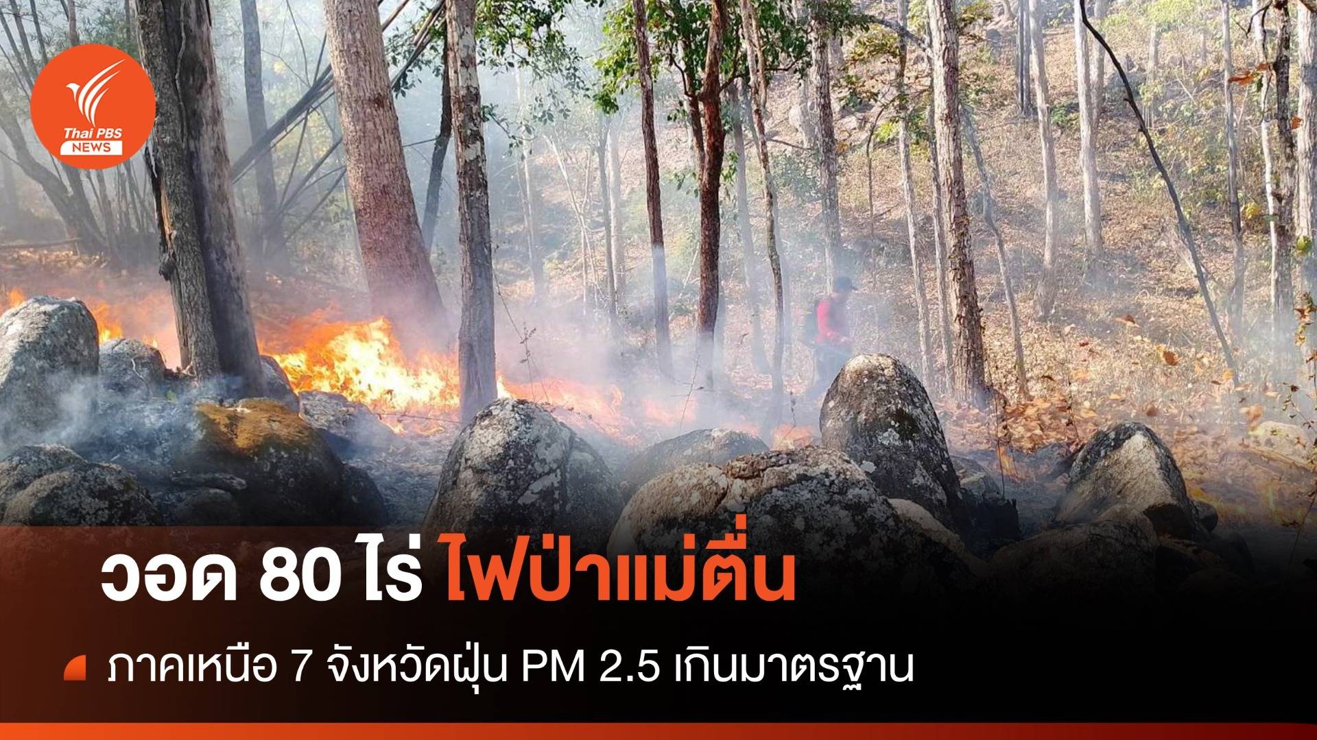 จับ 3 คนลอบเผาป่าสงวนหาของป่า "แม่ตื่น" วอด 80 ไร่
