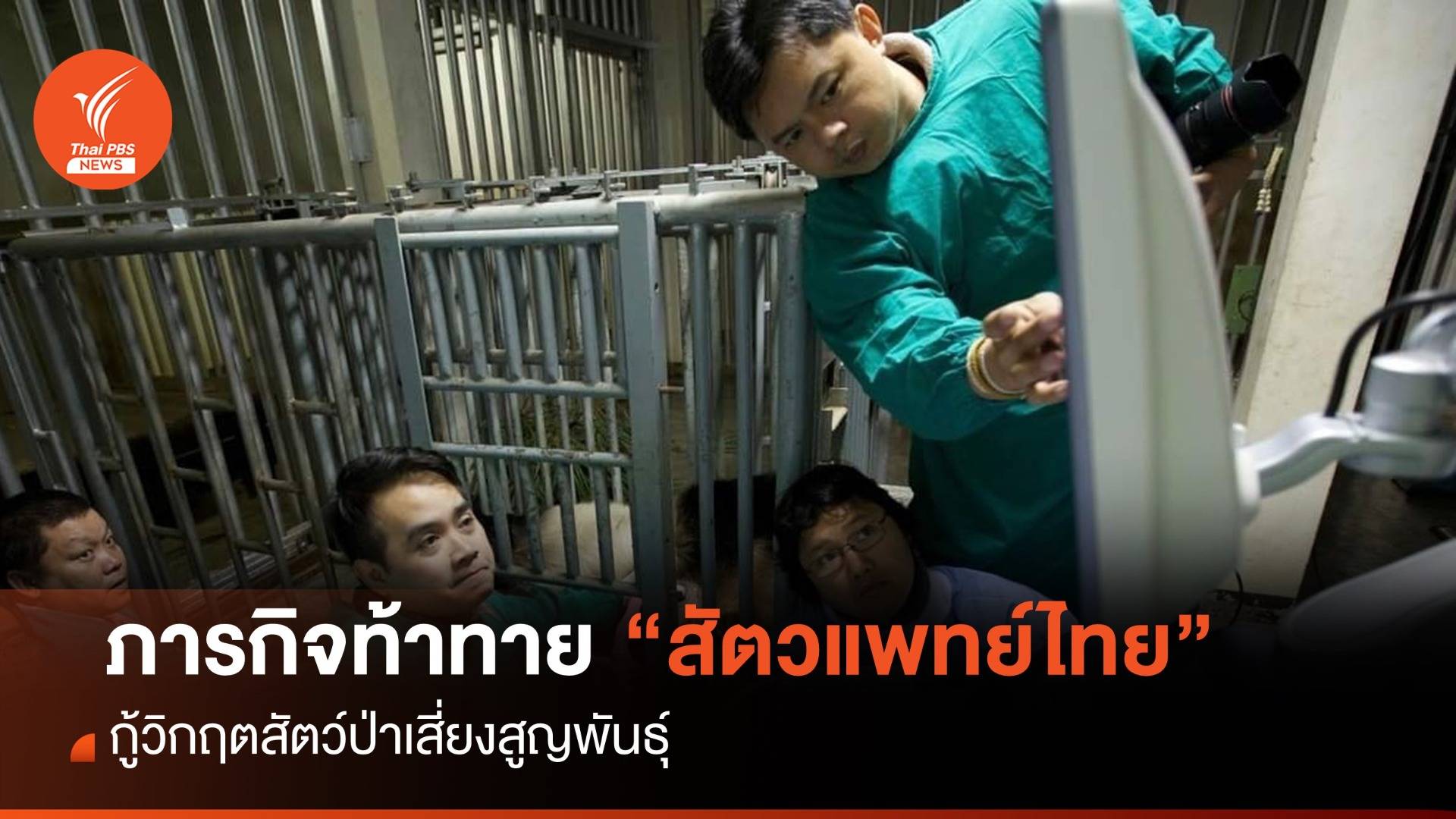 ภารกิจท้าทาย "สัตวแพทย์ไทย" กู้วิกฤตสัตว์ป่าเสี่ยงสูญพันธุ์ 