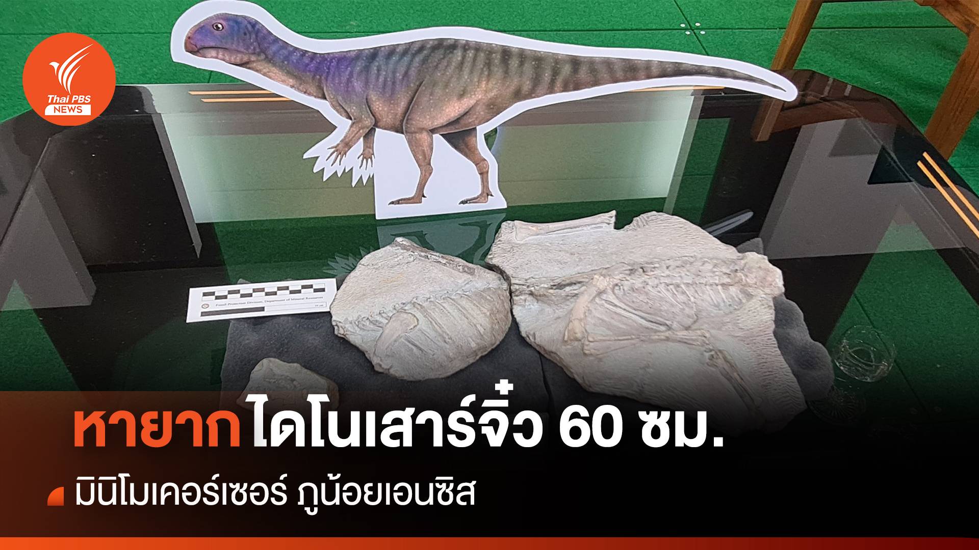 หายาก ไดโนเสาร์จิ๋ว 60 ซม. "มินิโมเคอร์เซอร์ ภูน้อยเอนซิส"