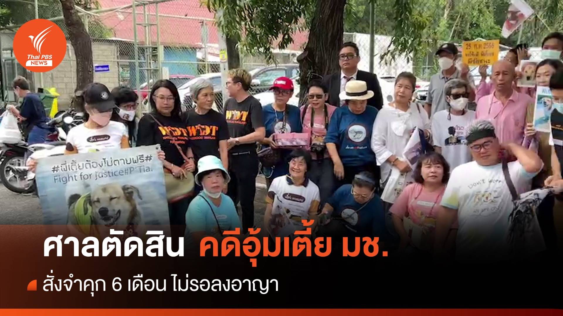 ย้อนคดีศาล ตัดสินจำคุก 6 เดือน ไม่รอลงอาญา จำเลยคดีทารุณกรรมสัตว์ "เตี้ย มช."