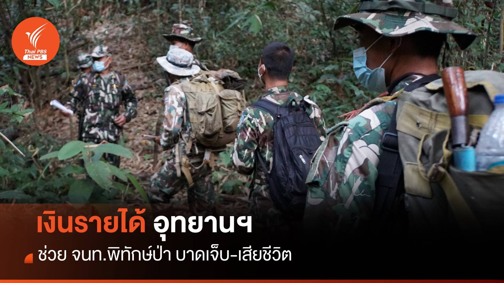 กรมอุทยานฯ ออกระเบียบใช้เงินรายได้ ช่วย จนท.พิทักษ์ป่า บาดเจ็บ-เสียชีวิต