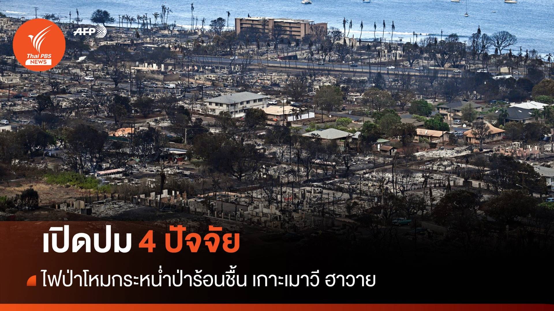 4 ปัจจัย ทำไม? ไฟป่าโหมกระหน่ำป่าร้อนชื้นบนเกาะเมาวี รัฐฮาวาย