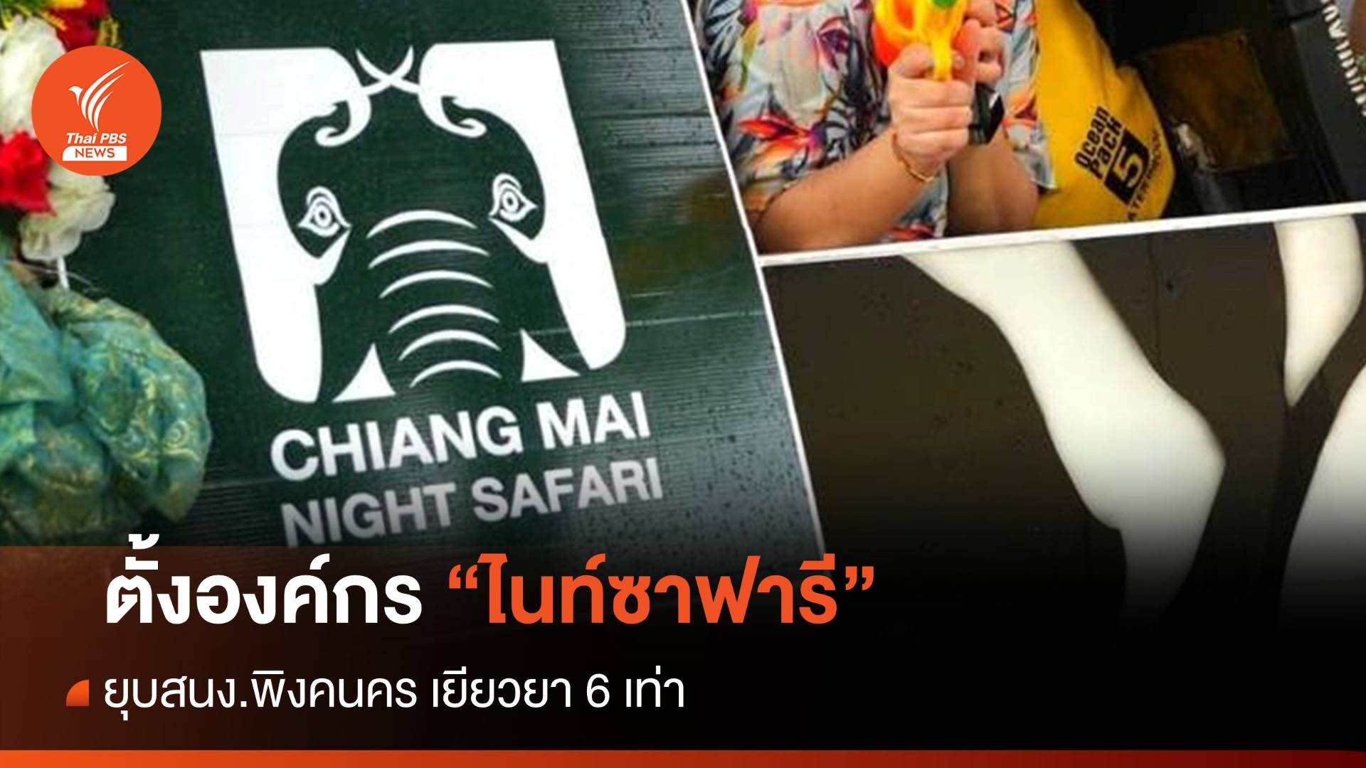 ครม.อุ้ม "ไนท์ซาฟารี" หลังยุบ สนง.พัฒนาพิงคนคร