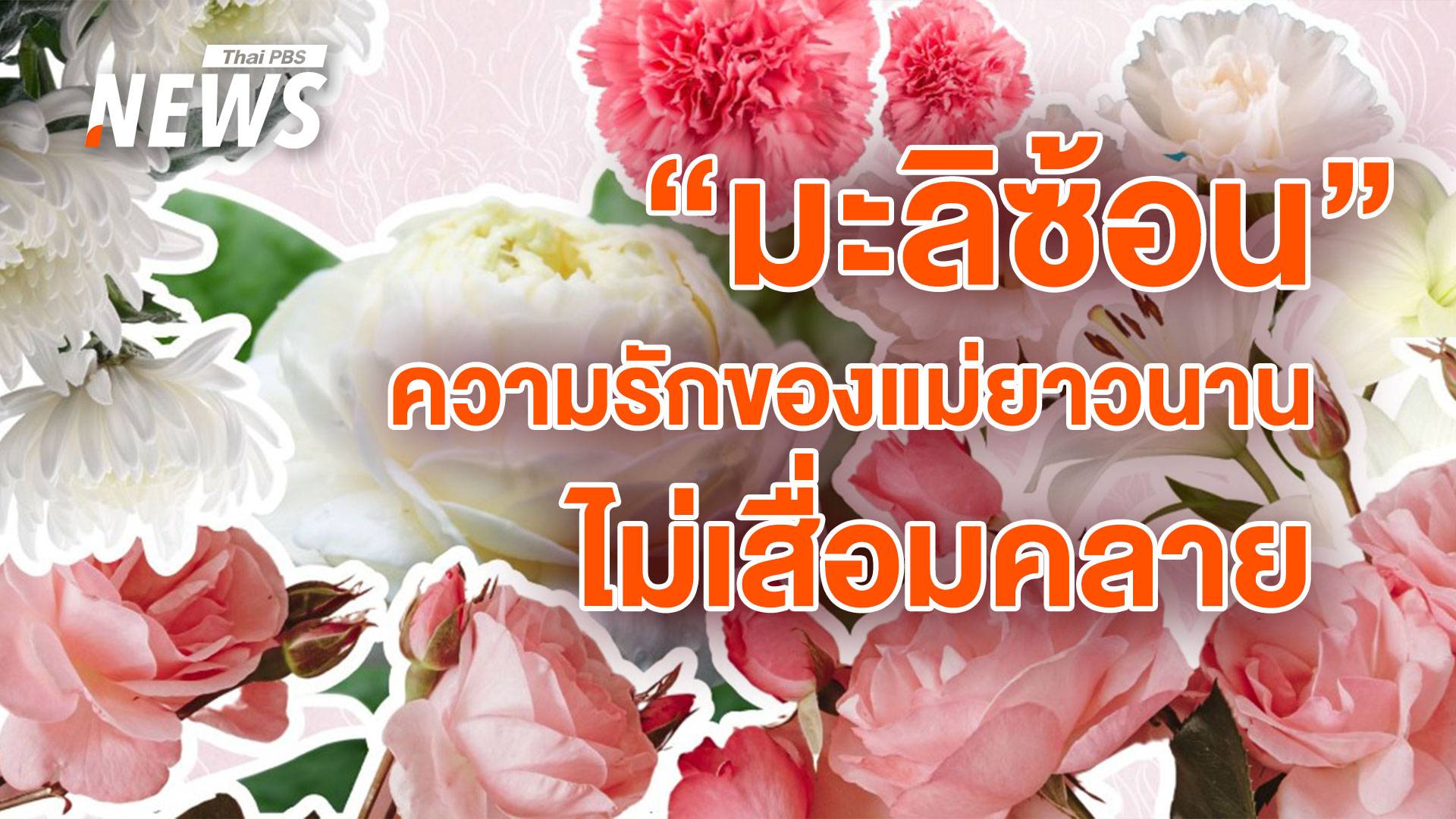 ที่มาที่ไป "ดอกมะลิ" สัญลักษณ์สื่อแทนความรัก - ความกตัญญู วันแม่