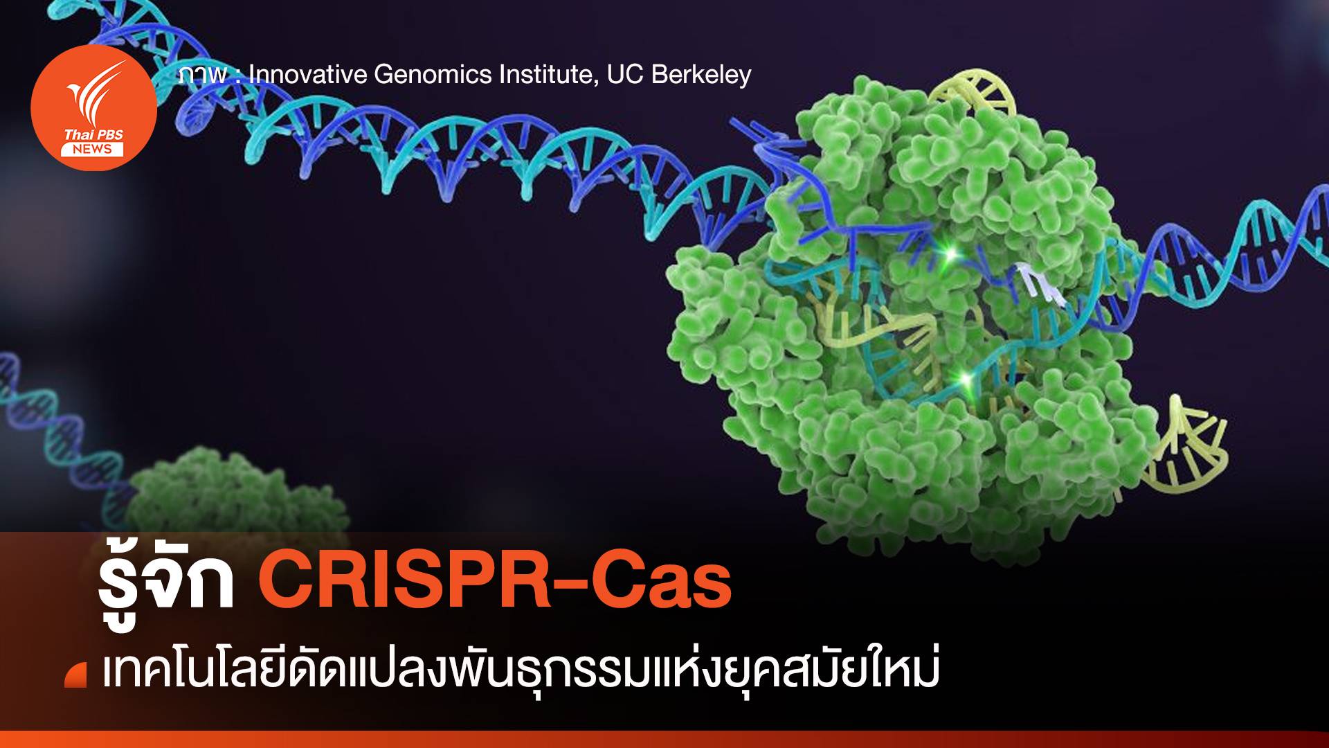 รู้จัก CRISPR-Cas เทคโนโลยีดัดแปลงพันธุกรรม