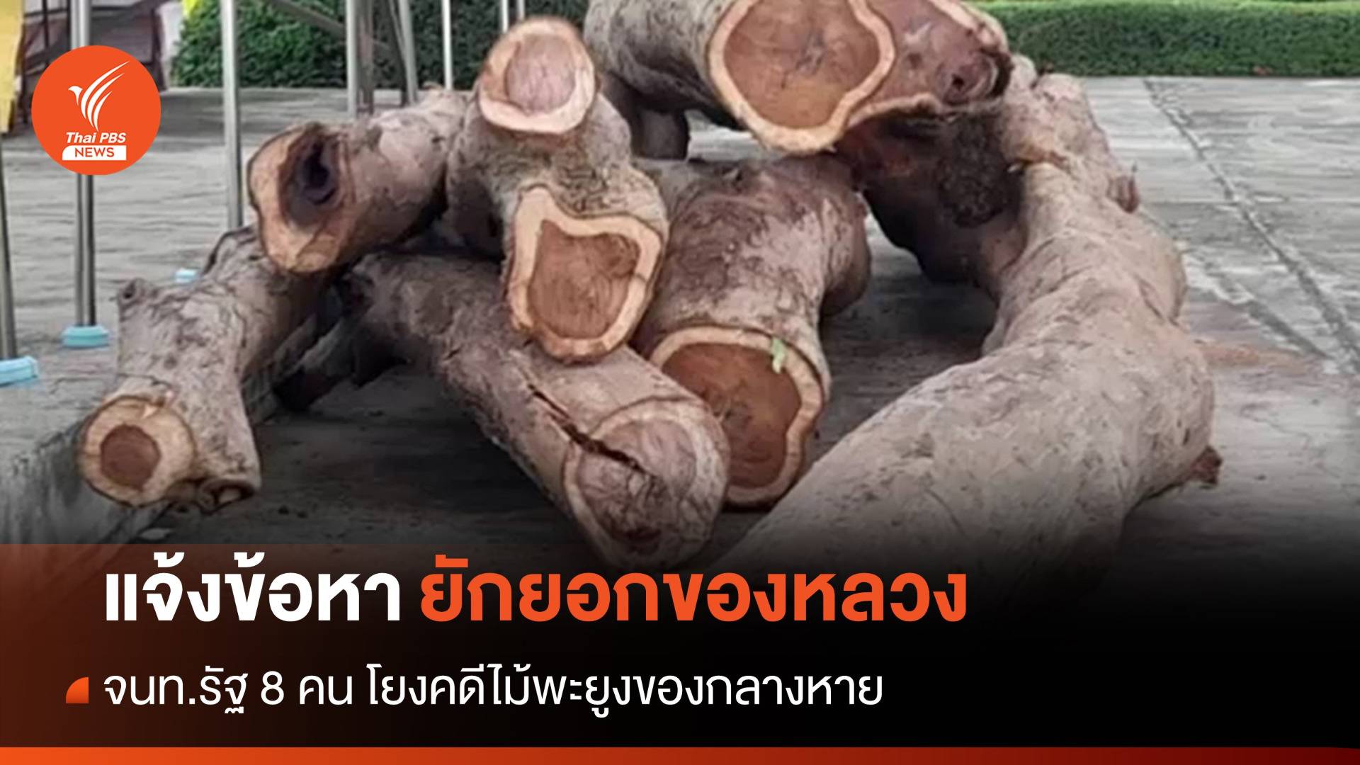แจ้งข้อหา จนท.รัฐ 8 คน เชื่อมโยงคดีไม้พะยูงของกลางหาย