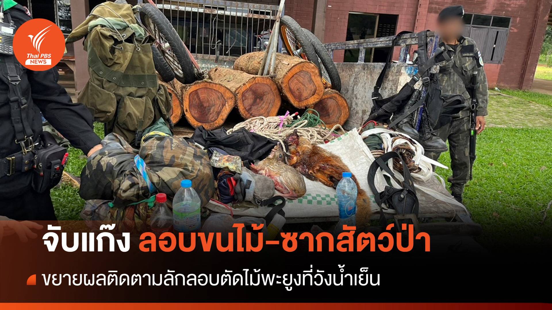 กรมอุทยานฯ สกัดจับแก๊งขนไม้พะยูง-ซากสัตว์ป่าที่วังน้ำเย็น