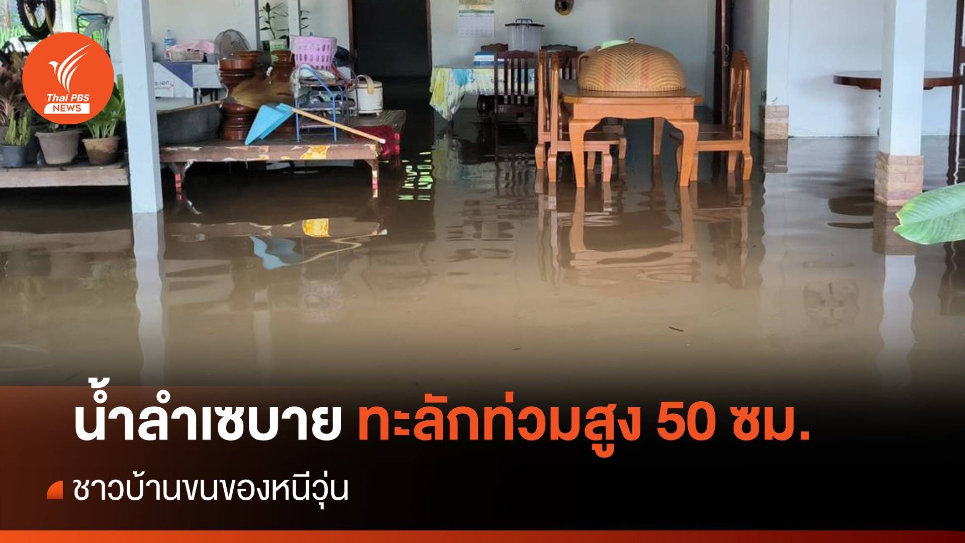 น้ำลำเซบาย จ.ยโสธร ทะลักท่วมสูง 50 ซม. ชาวบ้านขนของหนีวุ่น