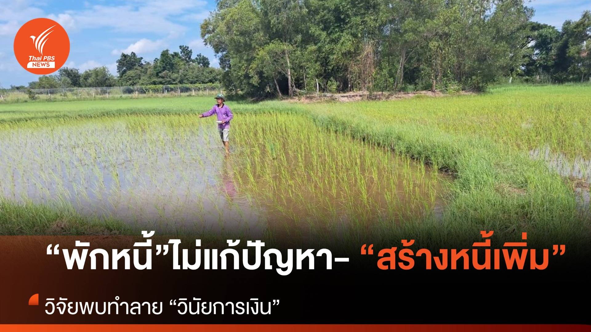 วิจัยพบ “พักหนี้” ไม่ช่วยแก้หนี้เกษตรกร แถมยังทำลาย “วินัยการเงิน”
