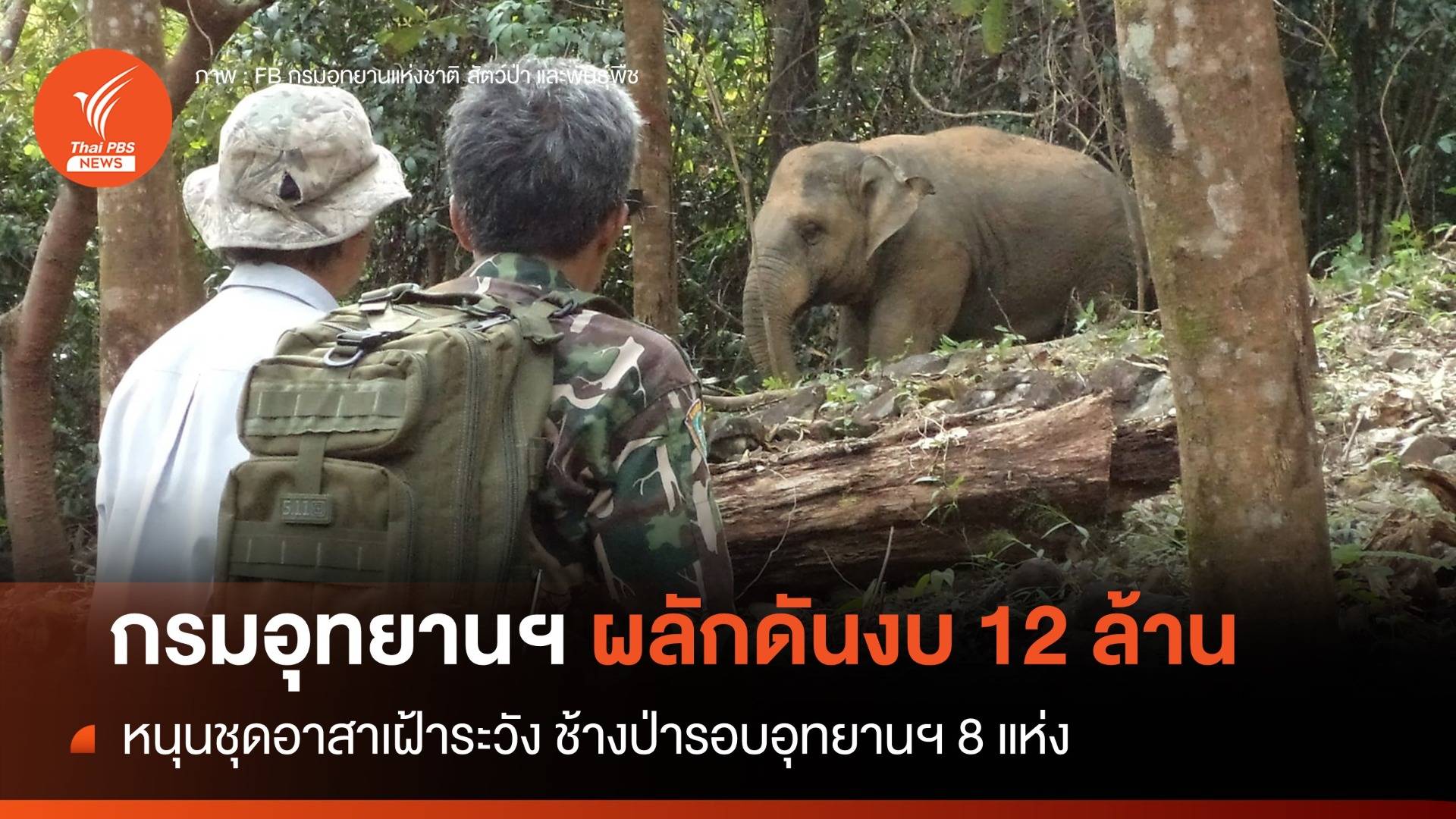 กรมอุทยานฯ เตรียมดันงบ 12 ล้านบาท หนุนชุดอาสาเฝ้าฯ ช้างป่ารอบอุทยาน 8 แห่ง