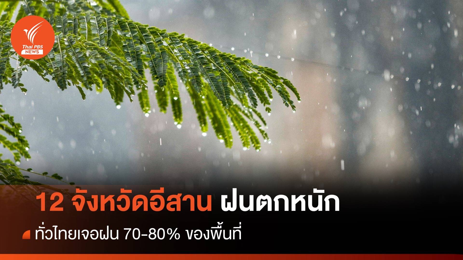 สภาพอากาศวันนี้ เช็ก 12 จังหวัดภาคอีสาน เจอฝนถล่มหนัก