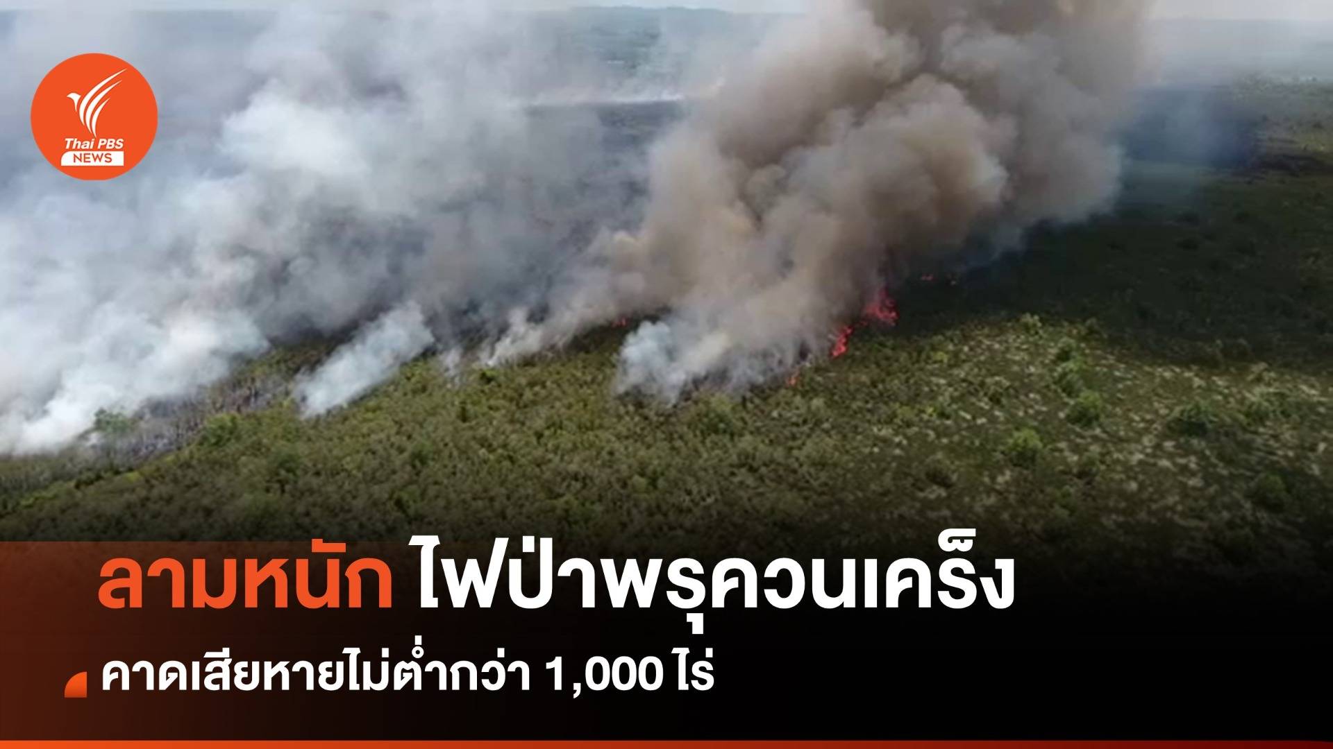 ไฟไหม้ป่าพรุควนเคร็งรอบใหม่ลามหนัก คาดเสียหายไม่ต่ำกว่า 1 พันไร่ 