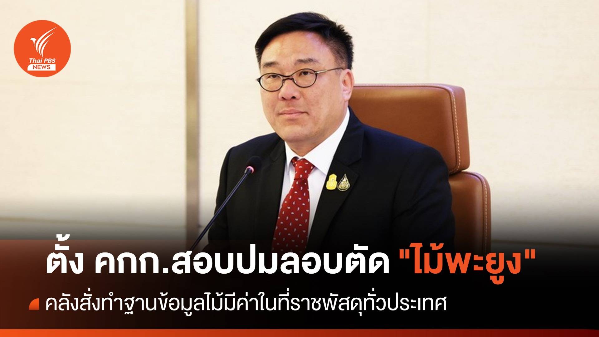 คลัง สั่งตั้งคณะกรรมการสอบปมลอบตัด "ไม้พะยูง" ในที่ราชพัสดุ