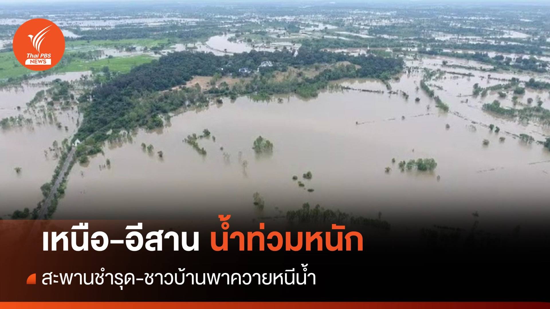 น้ำท่วมหนัก! เหนือ-อีสาน สะพานชำรุด ชาวบ้านพาควายหนีน้ำ