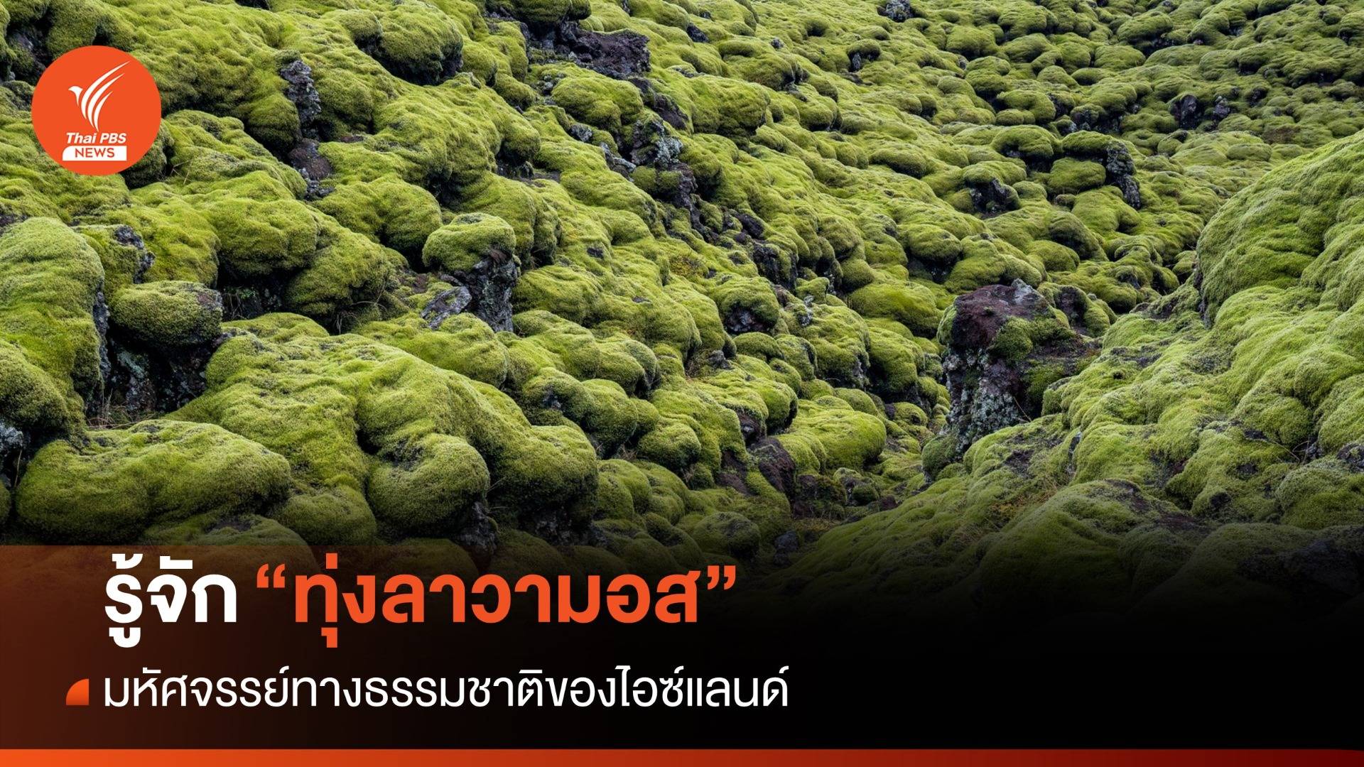 รู้จัก "ทุ่งลาวามอส" สิ่งมหัศจรรย์ทางธรรมชาติแห่งไอซ์แลนด์