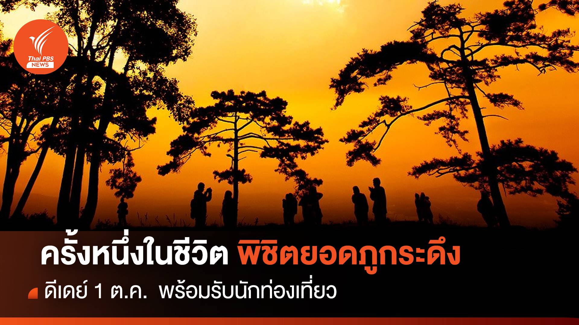 ครั้งหนึ่งในชีวิต พิชิตยอดภูกระดึง