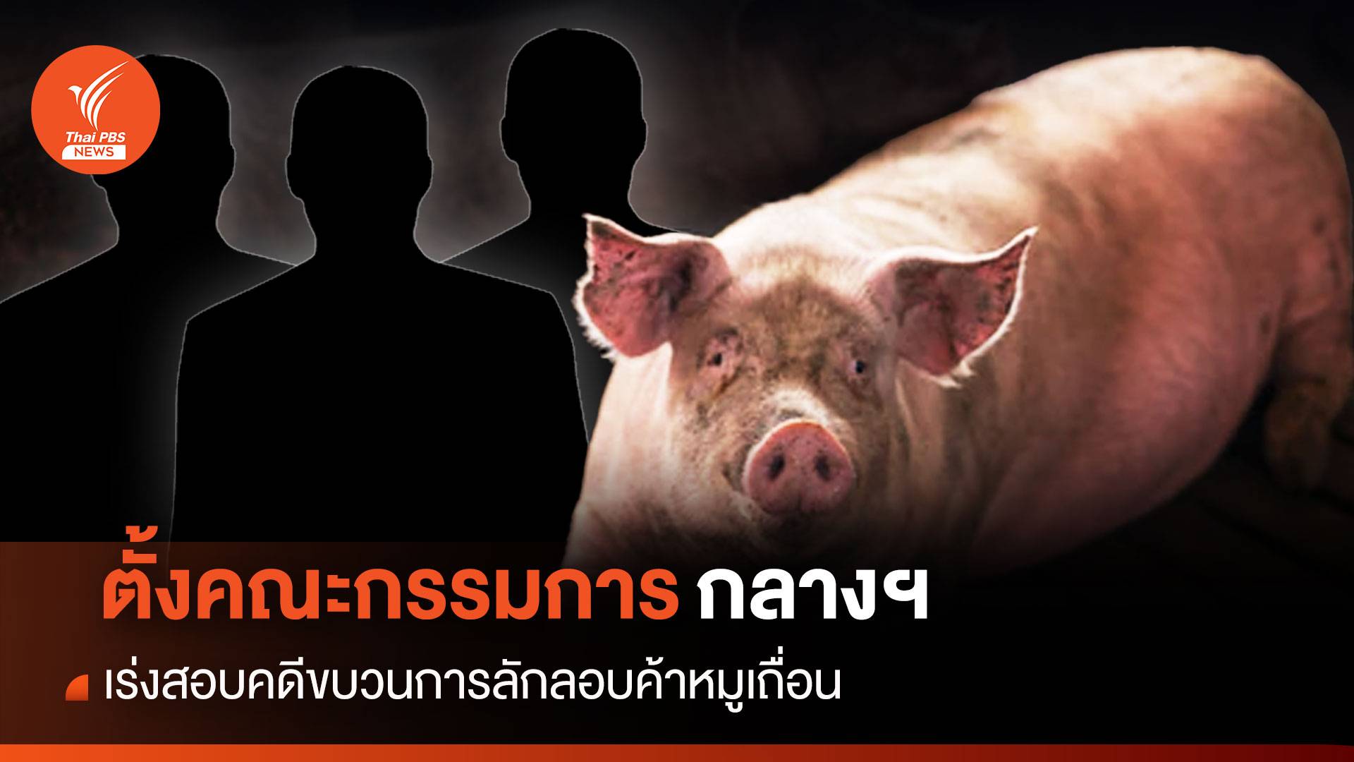 ตั้งคกก.กลางฯ เร่งสอบคดีลักลอบค้าหมูเถื่อน