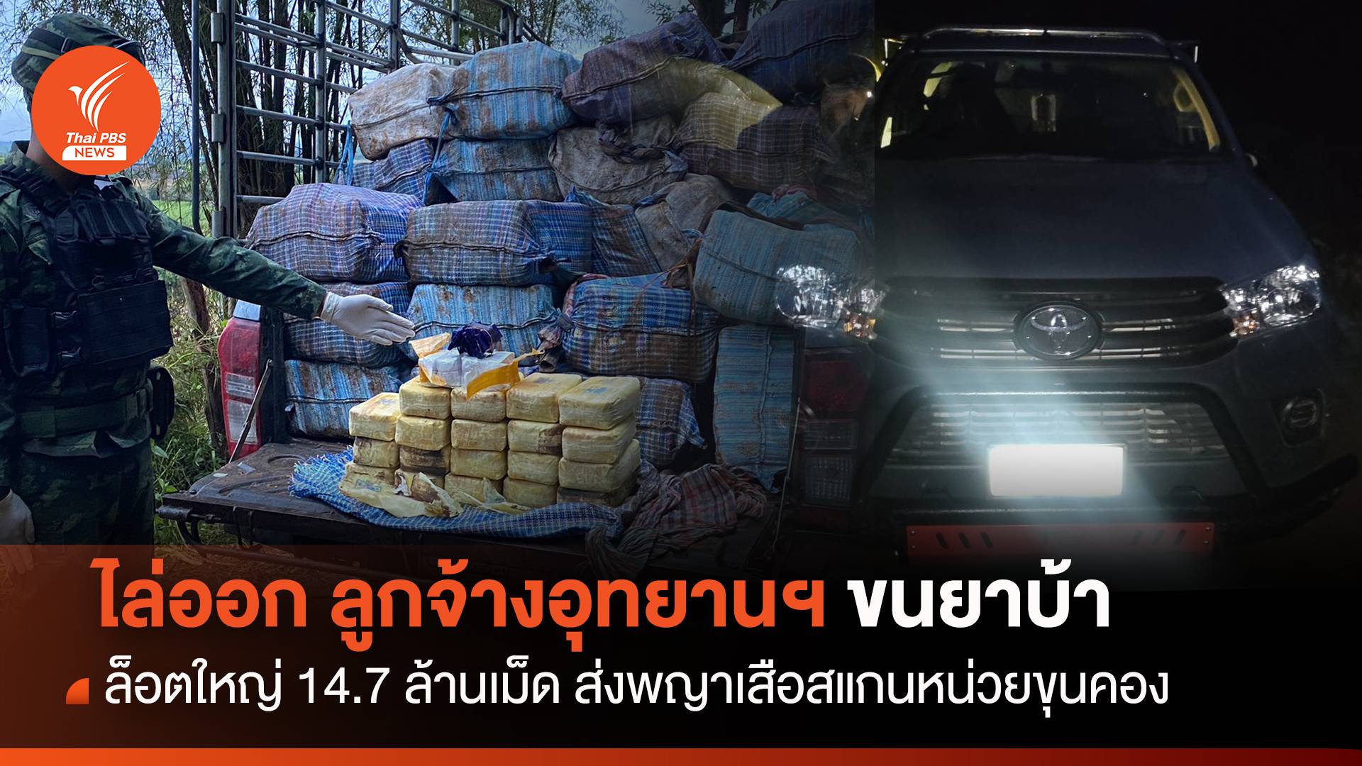 ไล่ออก! ลูกจ้างกรมอุทยานฯ ขนยาบ้า 14.7 ล้านเม็ด