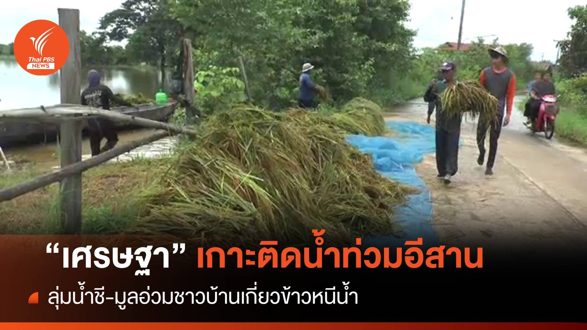 "เศรษฐา" ลุยน้ำท่วมอีสาน 6-7 ต.ค.นี้ เร่งเคลียร์รับฝนระลอกใหม่