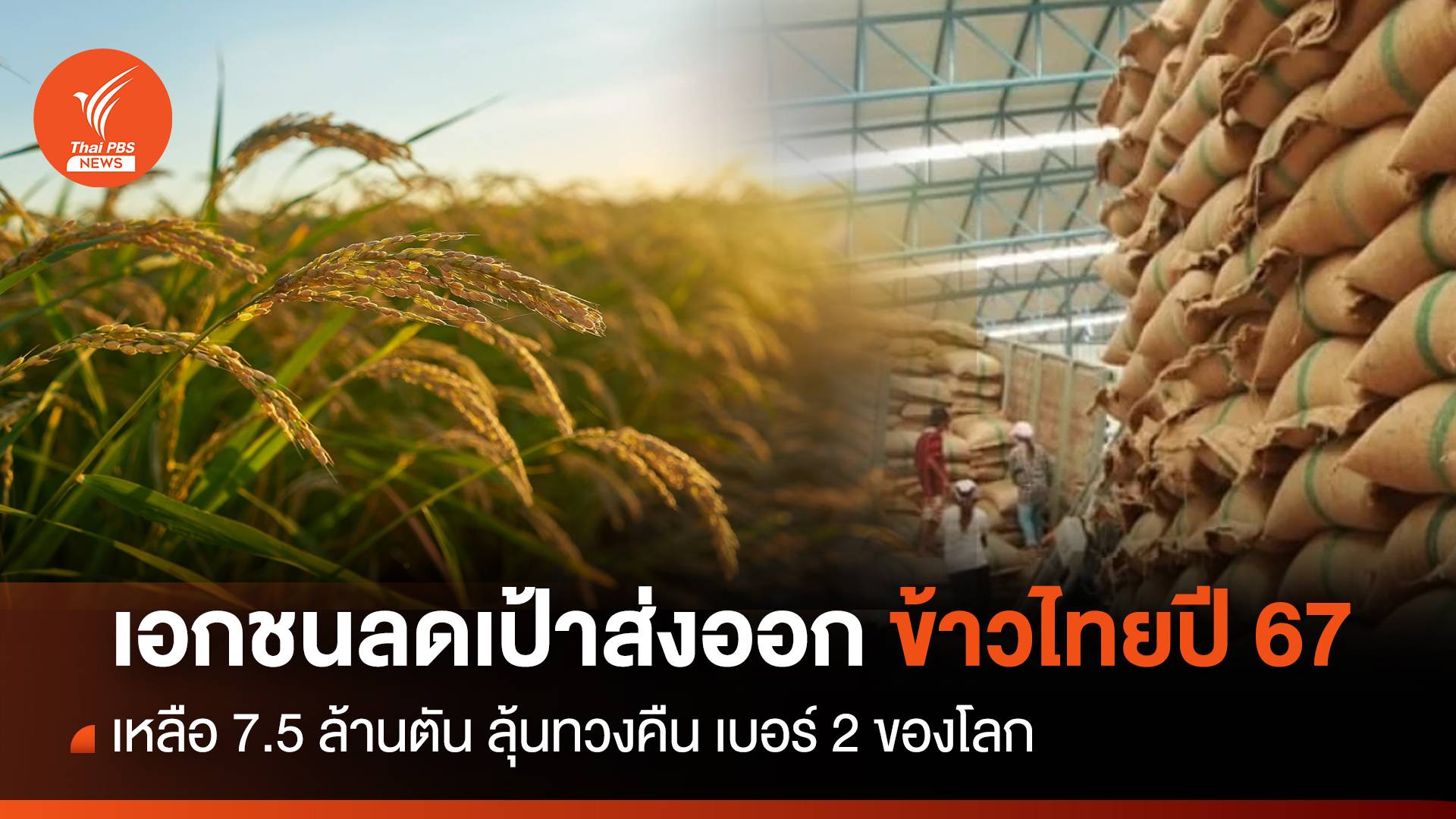 เอกชนลดเป้าส่งออกข้าวไทยปี 67 เหลือ 7.5 ล้านตัน