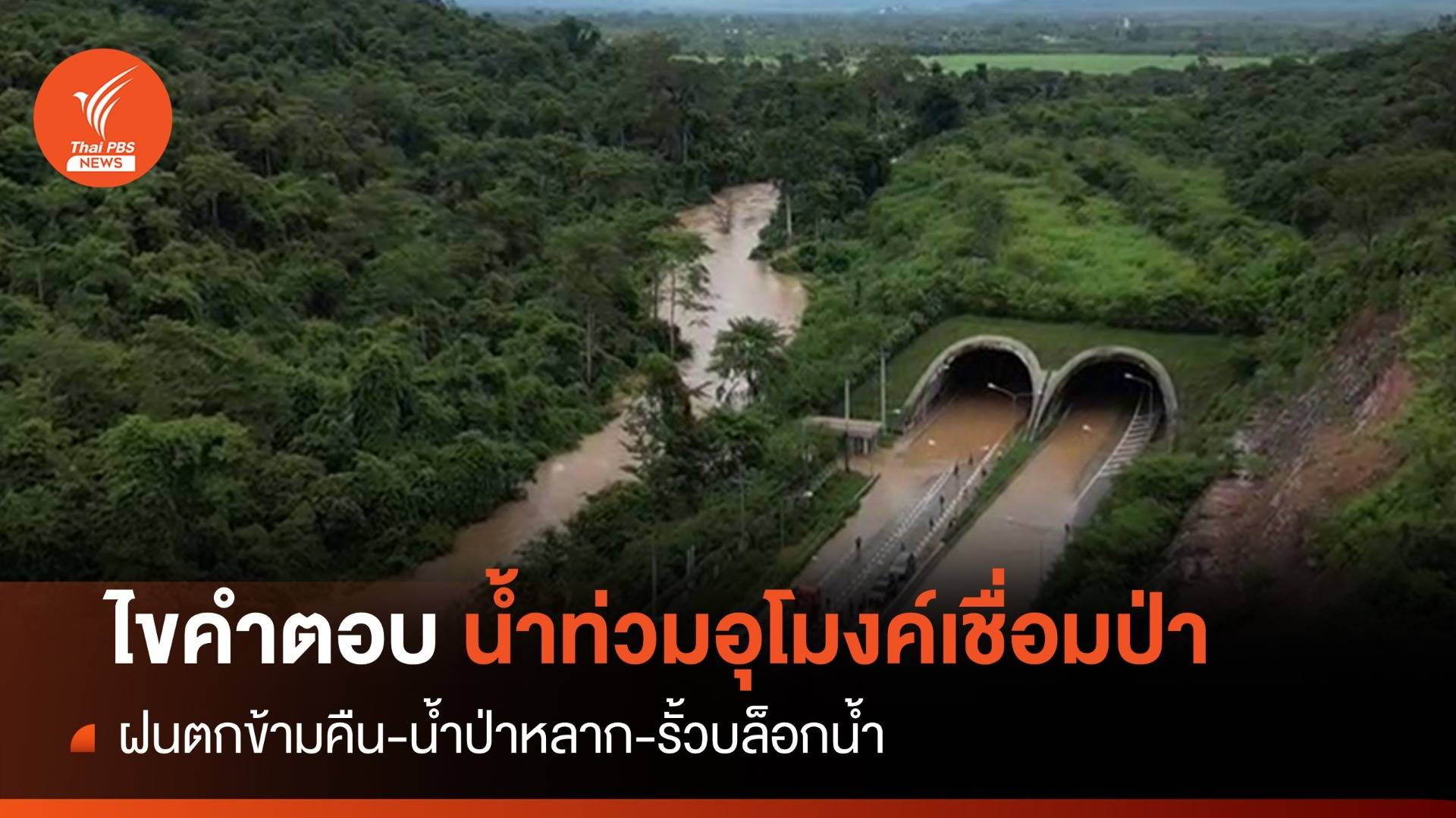 ย้อนรอย! ปมน้ำท่วมอุโมงค์เชื่อมป่า เหตุฝนตกหนัก-ภูมิประเทศ